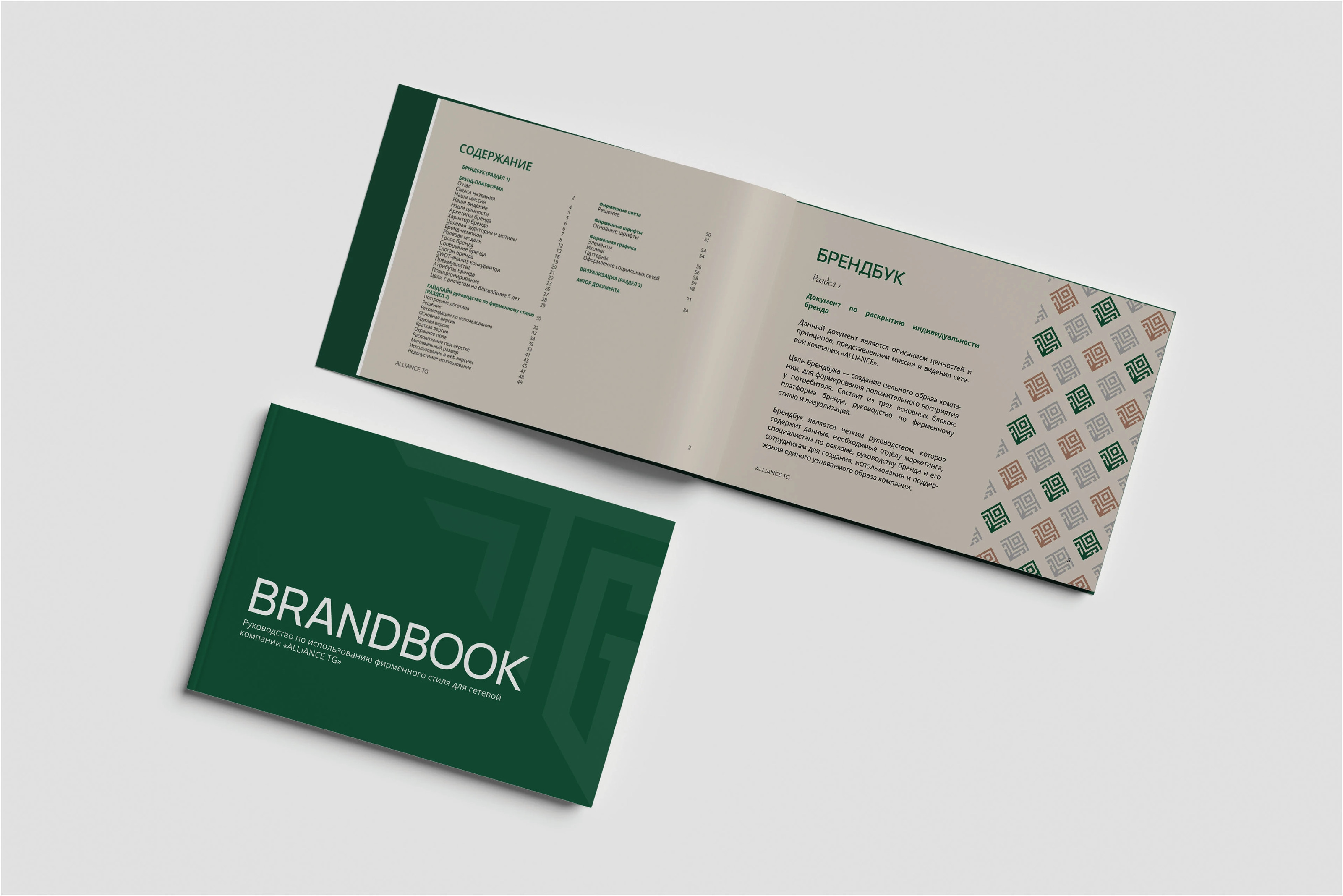 Брендинг для сетевой компании "Alliance TG" — Изображение №1 — Брендинг на Dprofile