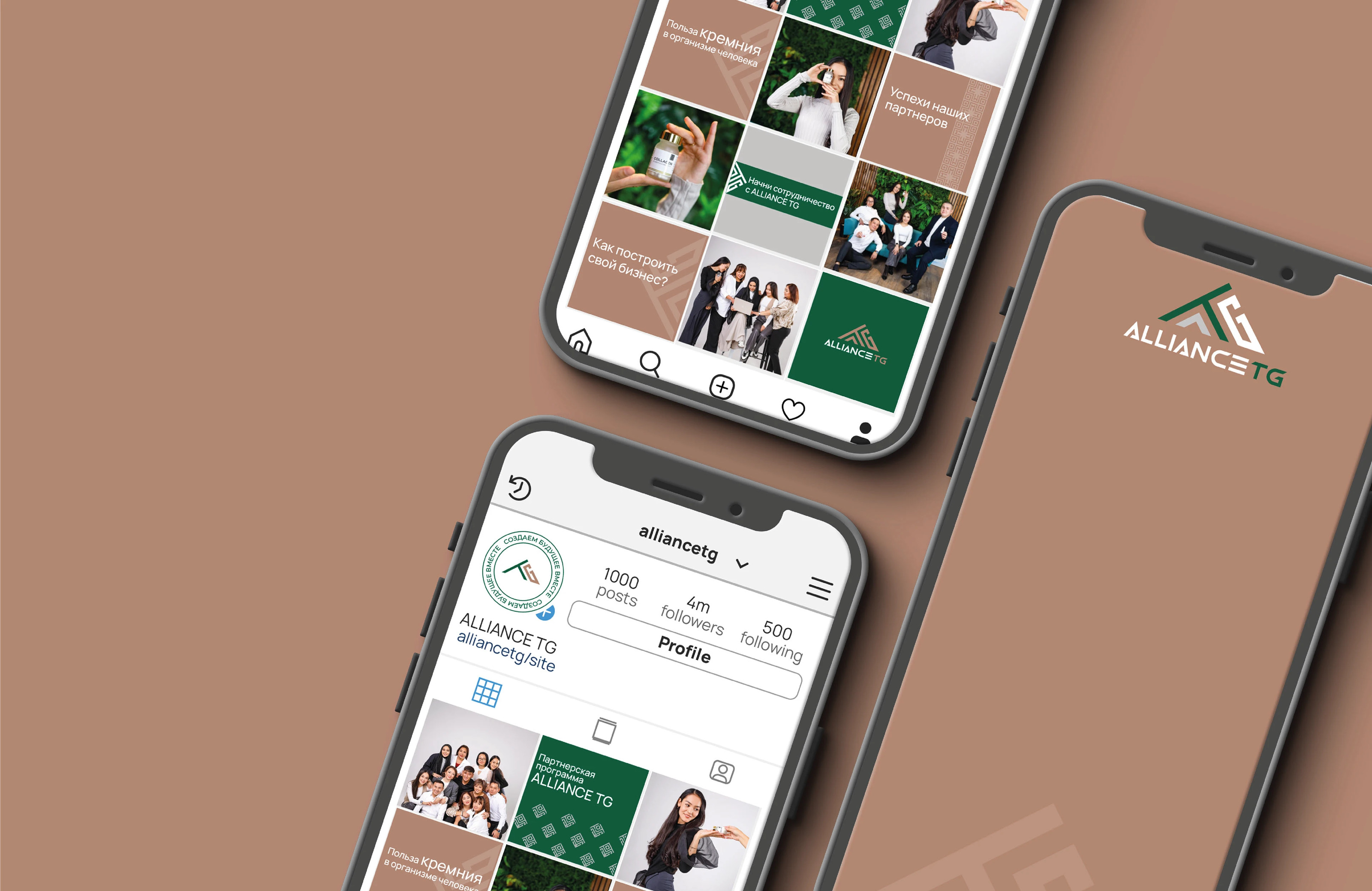Брендинг для сетевой компании "Alliance TG" — Изображение №3 — Брендинг на Dprofile