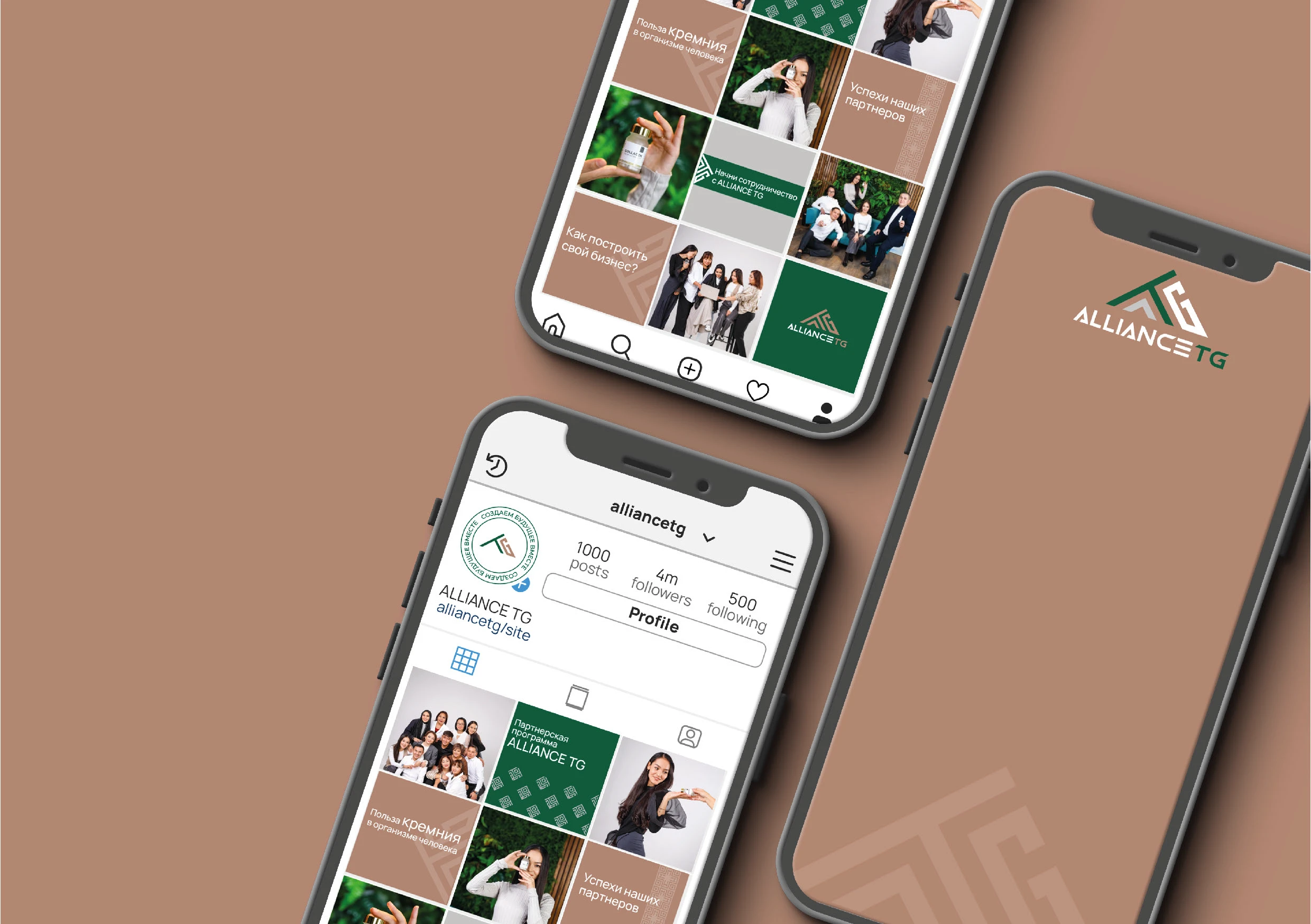 Брендинг для сетевой компании "Alliance TG" — Изображение №55 — Брендинг на Dprofile