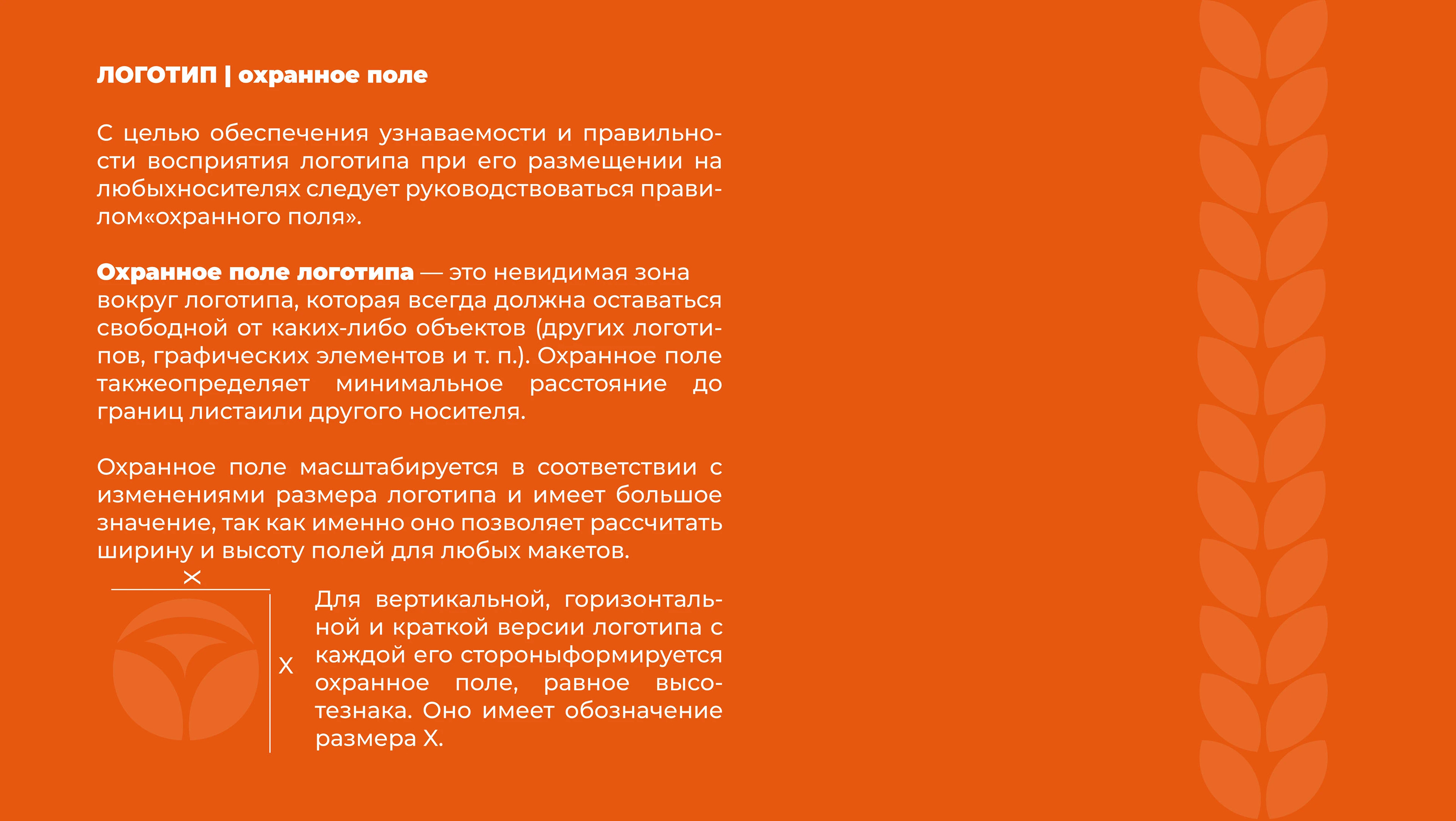 Брендбук для фитнес-центра для женщин — Изображение №28 — Брендинг на Dprofile