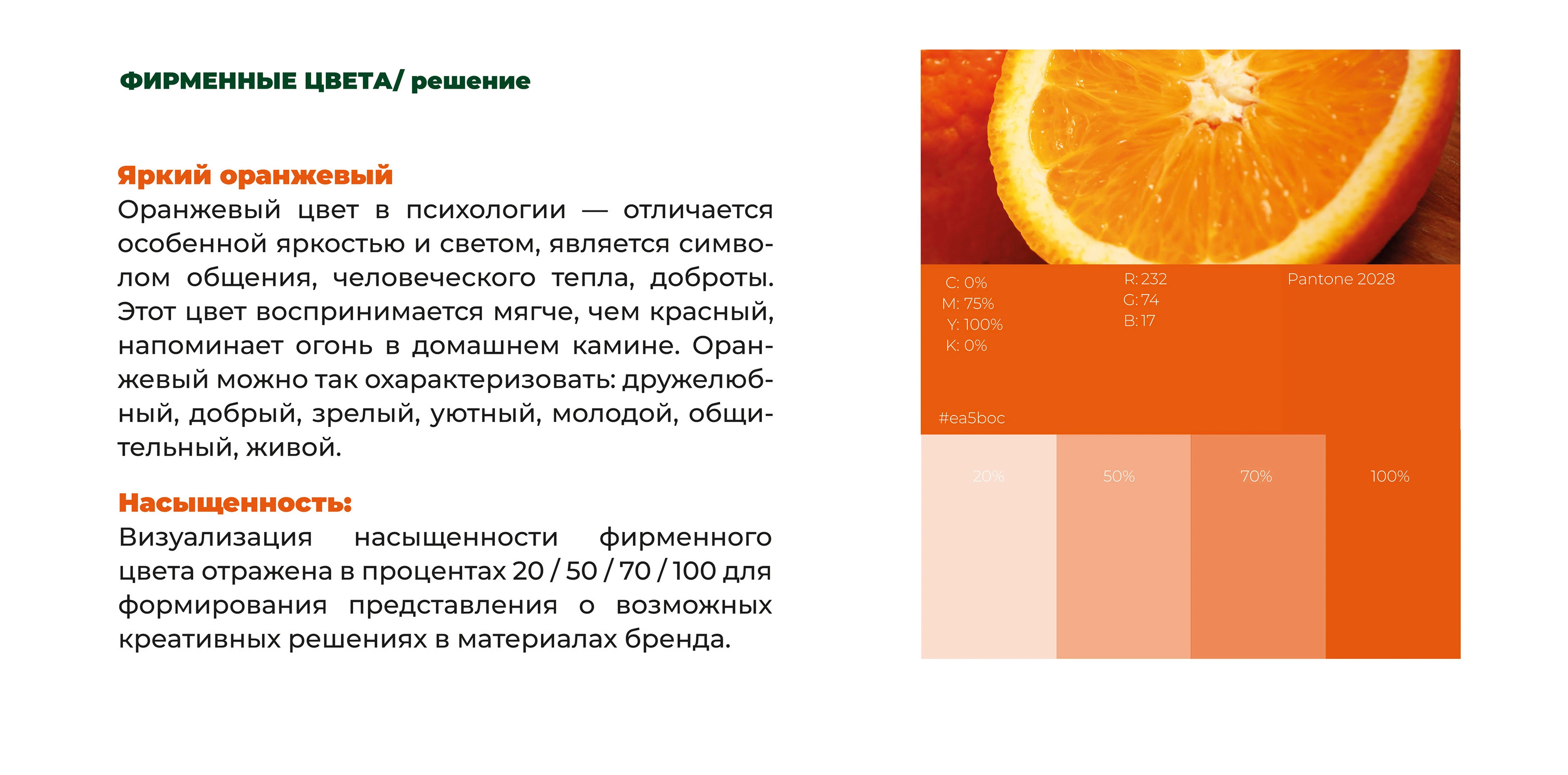 Брендбук для фитнес-центра для женщин — Изображение №34 — Брендинг на Dprofile