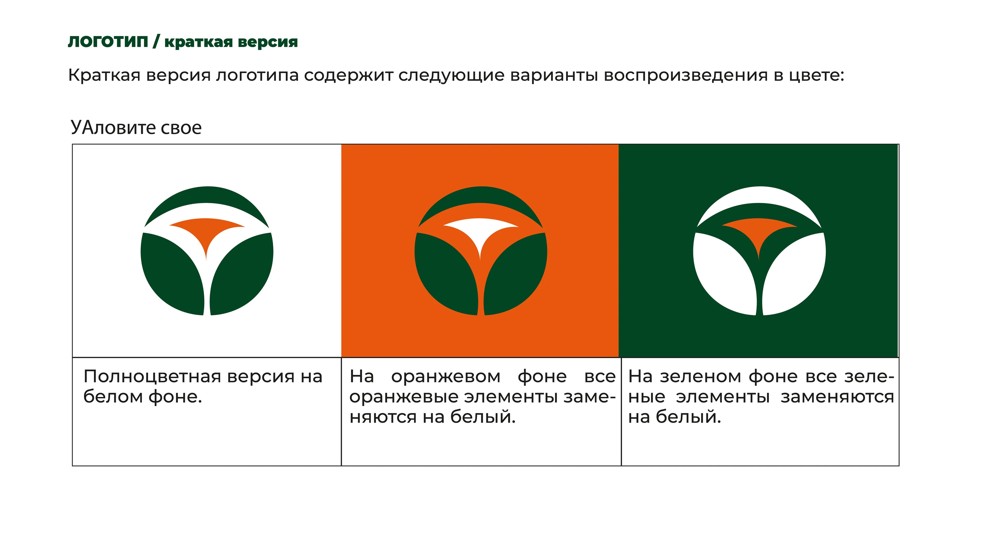 Брендбук для фитнес-центра для женщин — Изображение №25 — Брендинг на Dprofile