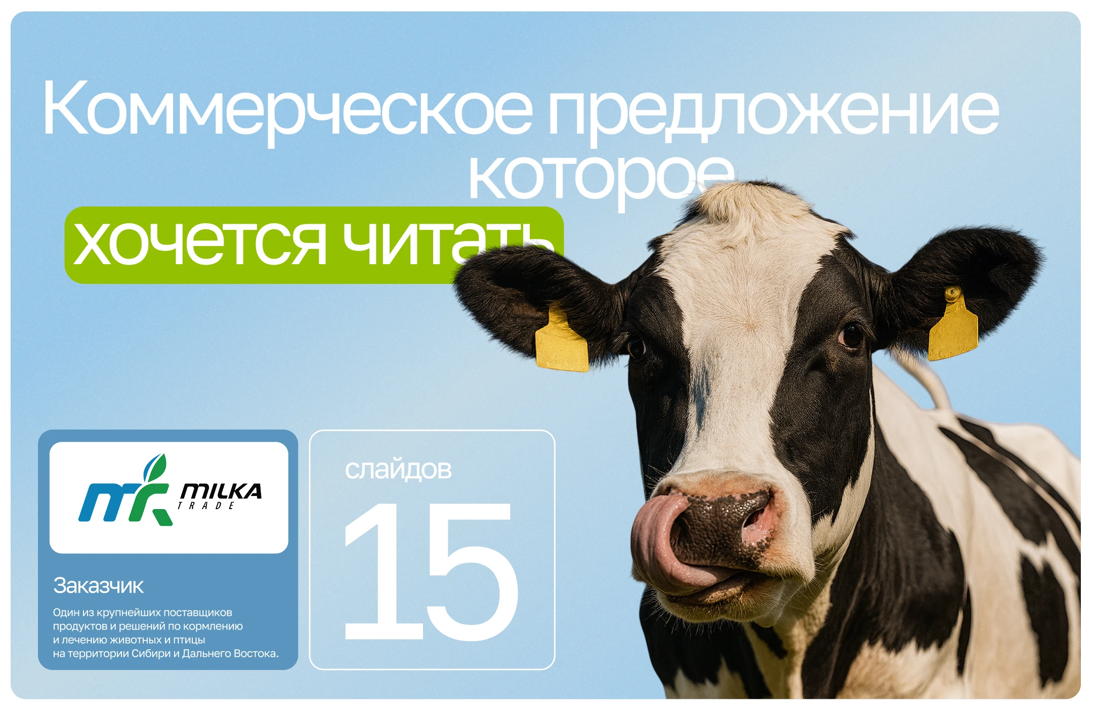 Дизайн коммерческого предложения, презентация — Изображение №1 — Маркетинг на Dprofile