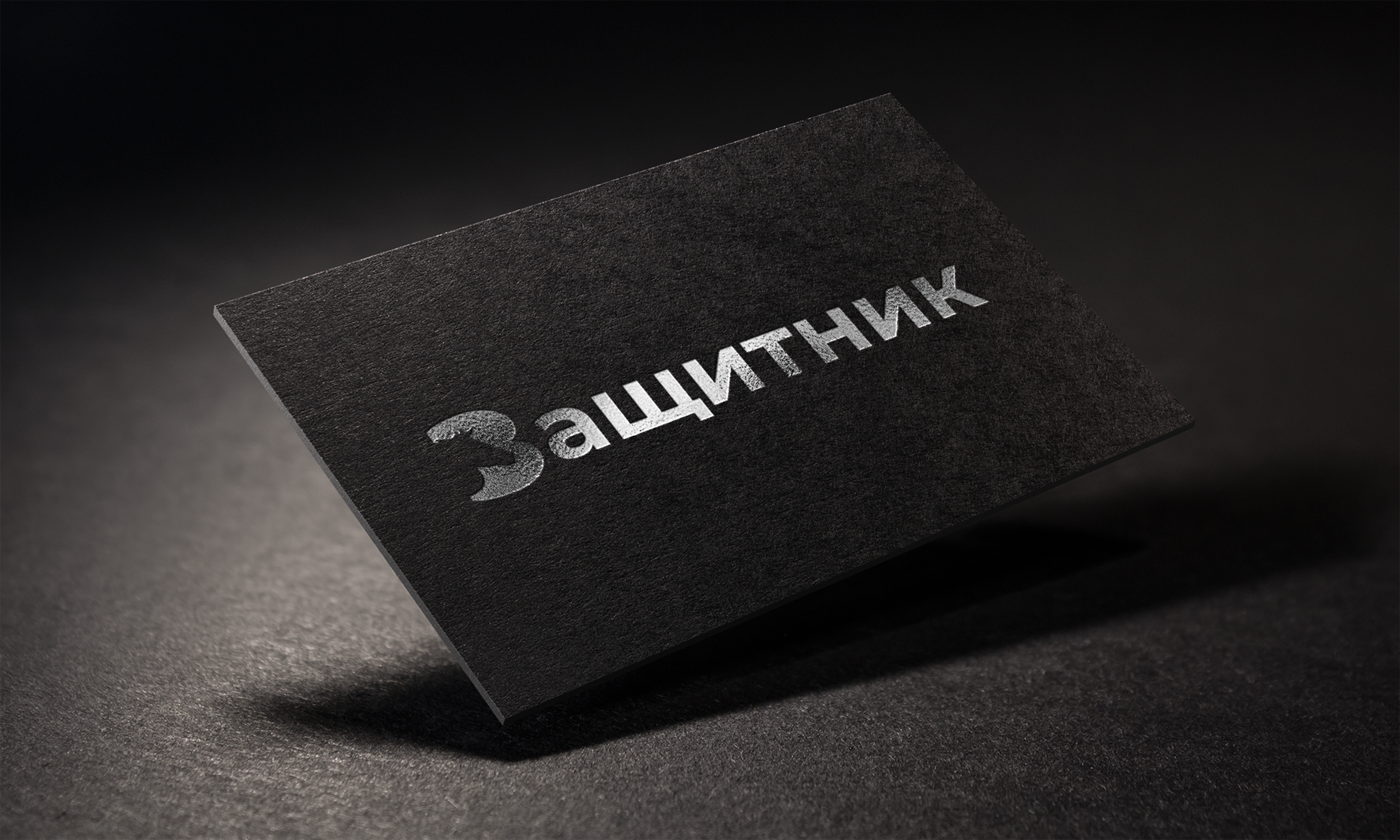 Защитник — Изображение №3 — Брендинг на Dprofile