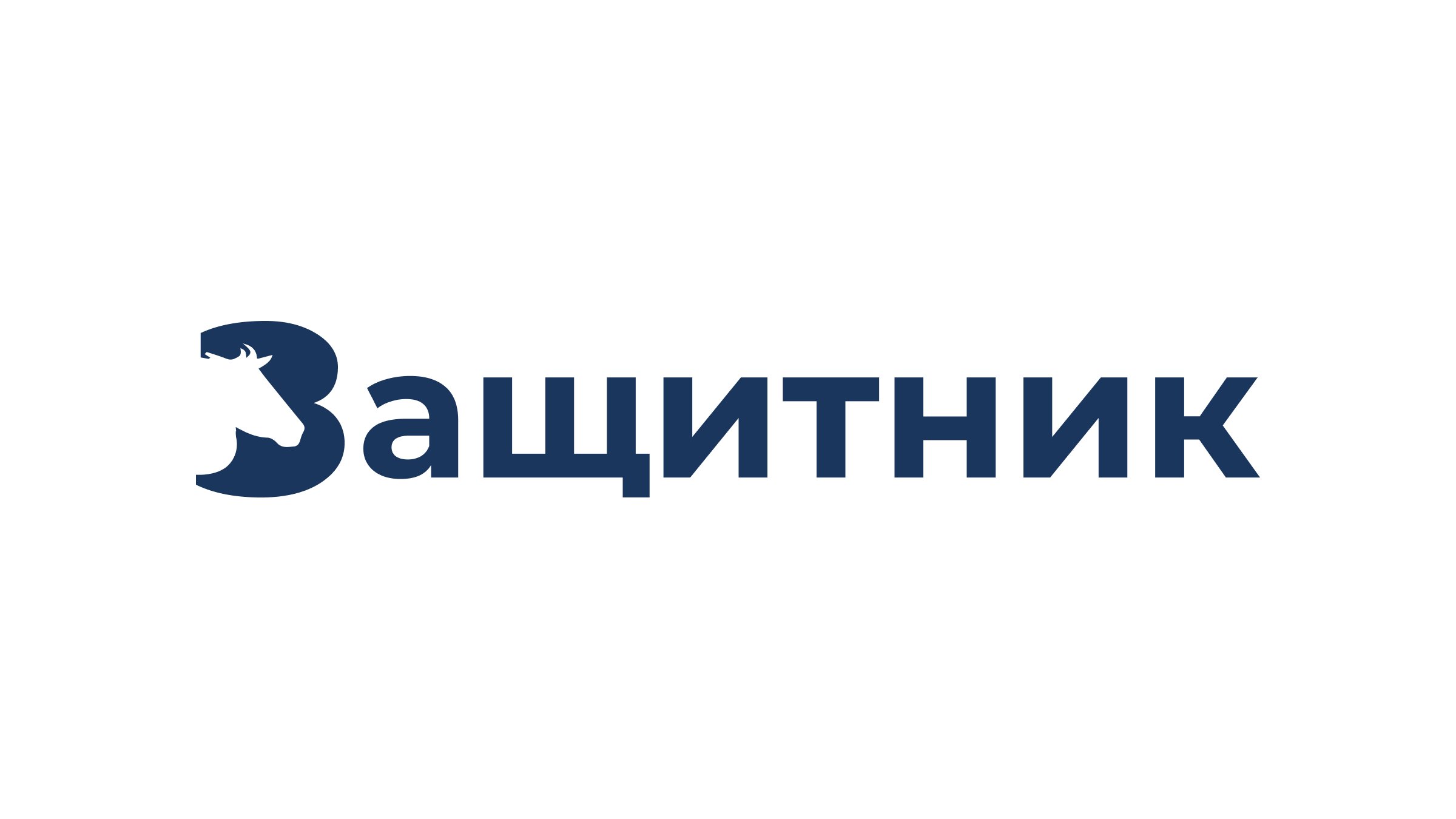 Защитник — Изображение №1 — Брендинг на Dprofile