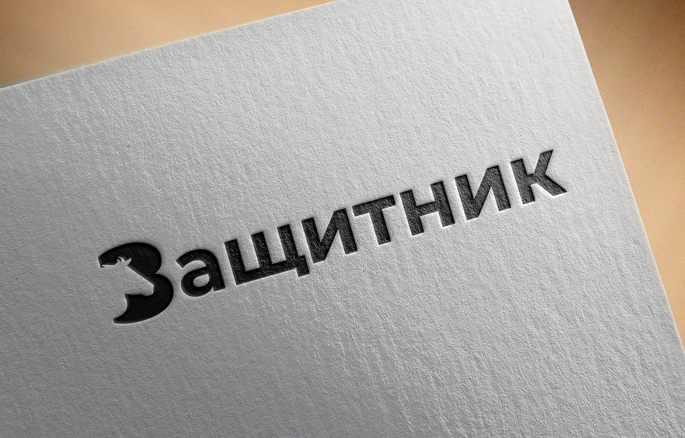 Защитник — Изображение №4 — Брендинг на Dprofile