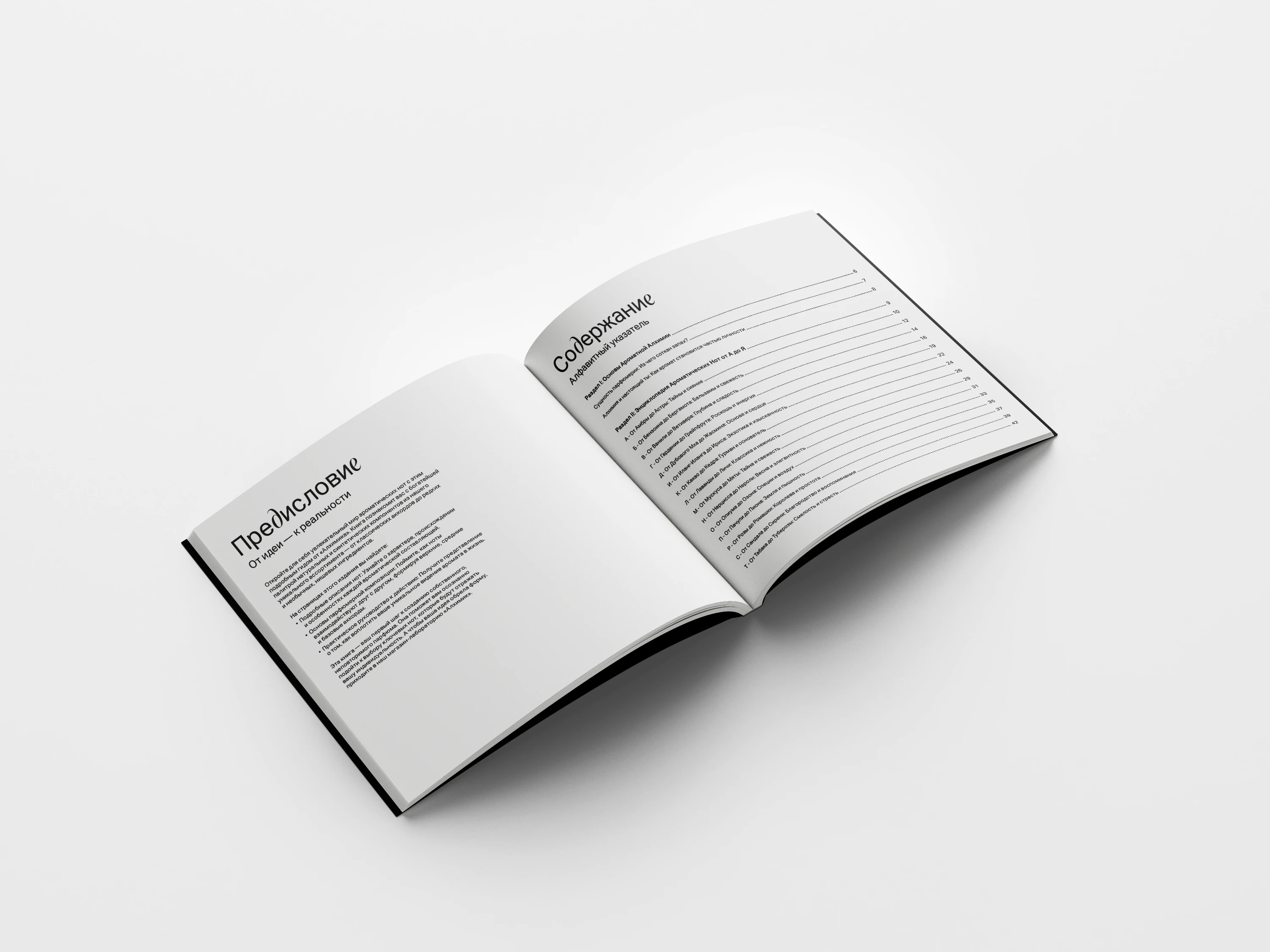 Алхимик - брендинг лаборатории кастом-парфюмерии — Изображение №41 — Брендинг, Графика на Dprofile
