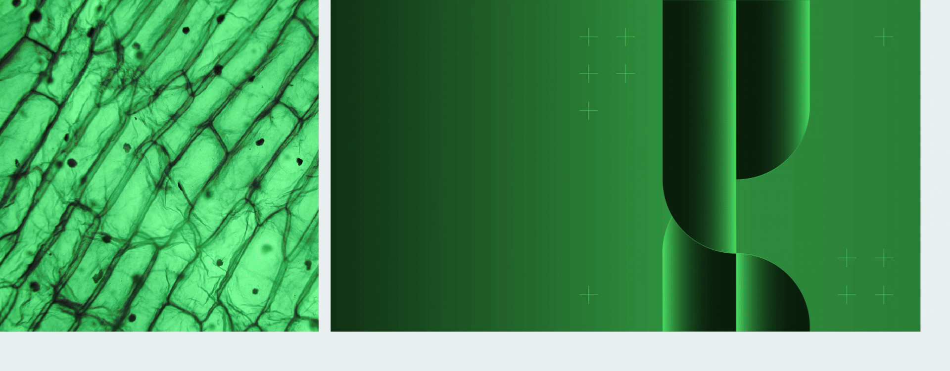 Обои ОС Астра Линукс | COLOR_IT  entry — Изображение №6 — Иллюстрация, Графика на Dprofile