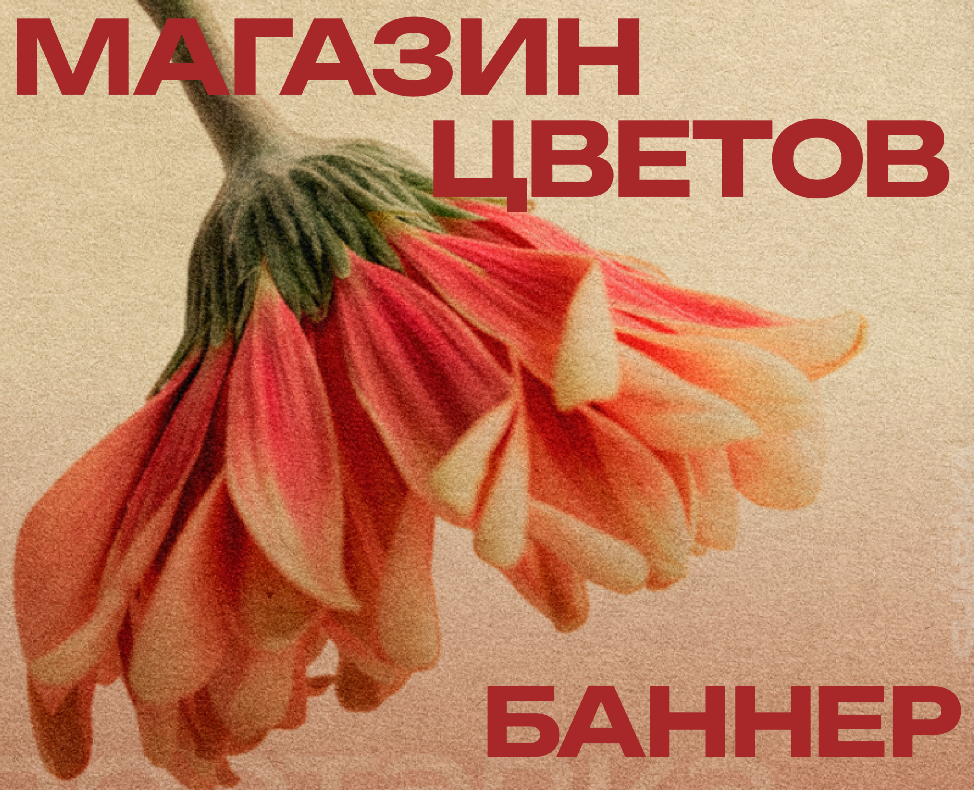 РЕКЛАМНЫЙ БАННЕР | МАГАЗИН ЦВЕТОВ | ПОЛИГРАФИЯ — Брендинг, Графика на Dprofile