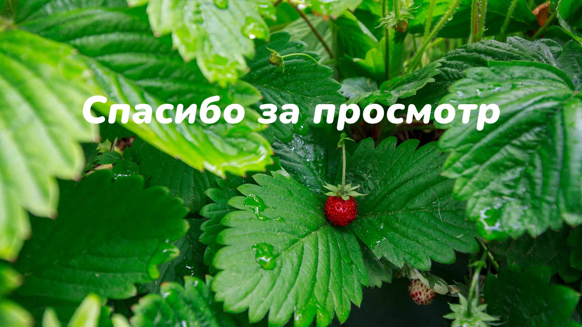 Разработка фирменного стиля для стартапа EcoWave — Изображение №12 — Брендинг, Графика на Dprofile