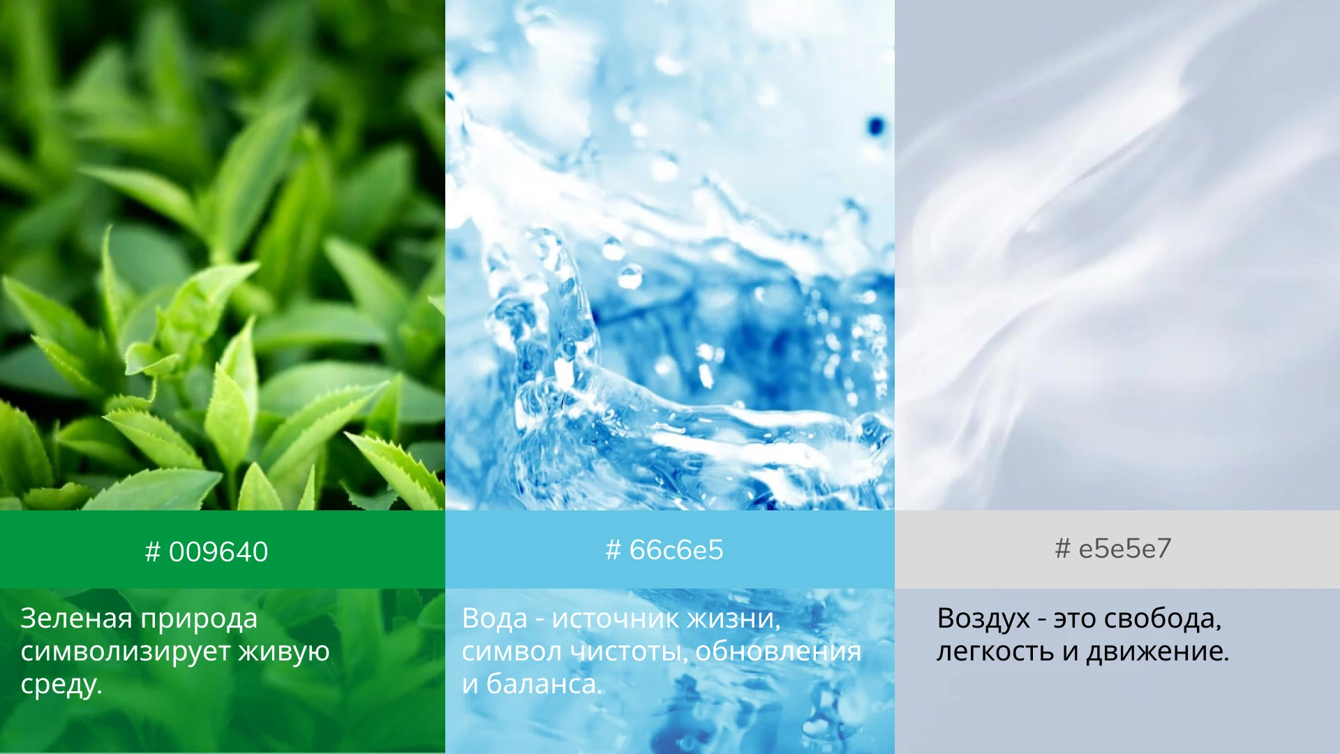 Разработка фирменного стиля для стартапа EcoWave — Изображение №3 — Брендинг, Графика на Dprofile