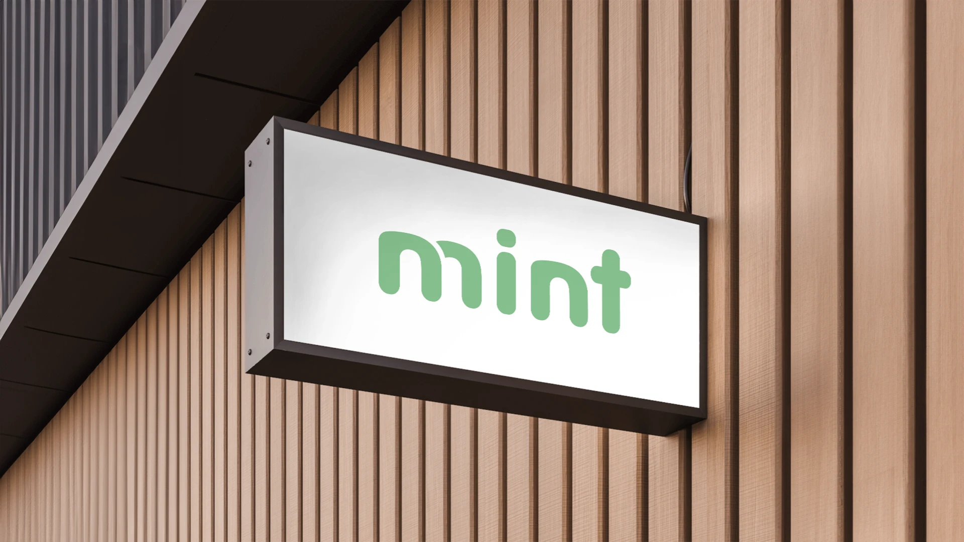 Mint portable appliances - corporate identity, logo — Изображение №4 — Брендинг на Dprofile