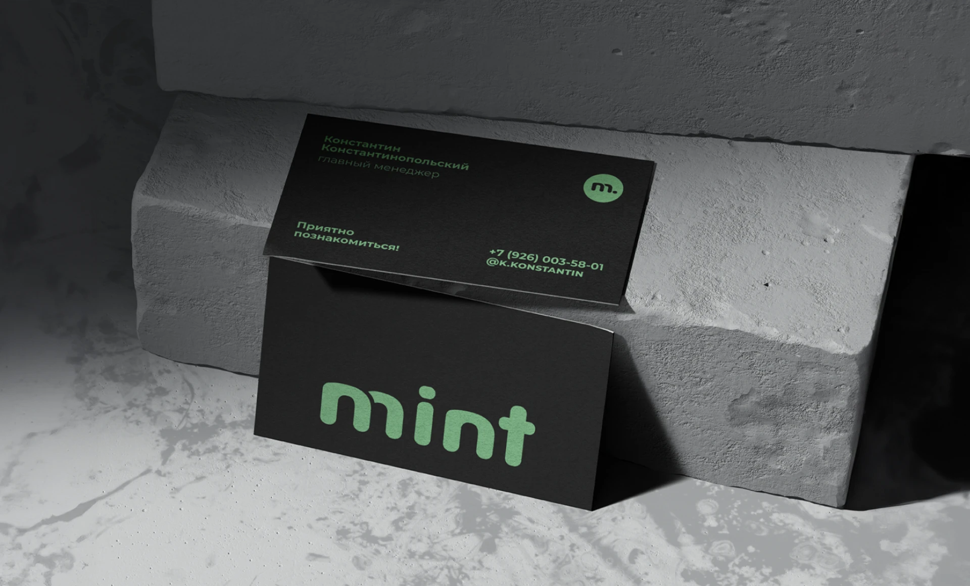 Mint portable appliances - corporate identity, logo — Изображение №9 — Брендинг на Dprofile