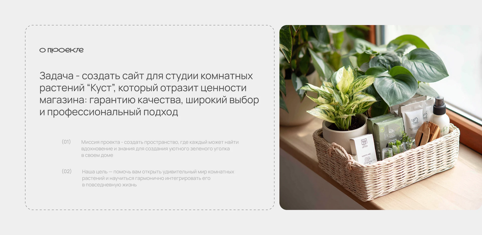 Куст. Растения в горшках — Изображение №2 — Интерфейсы на Dprofile