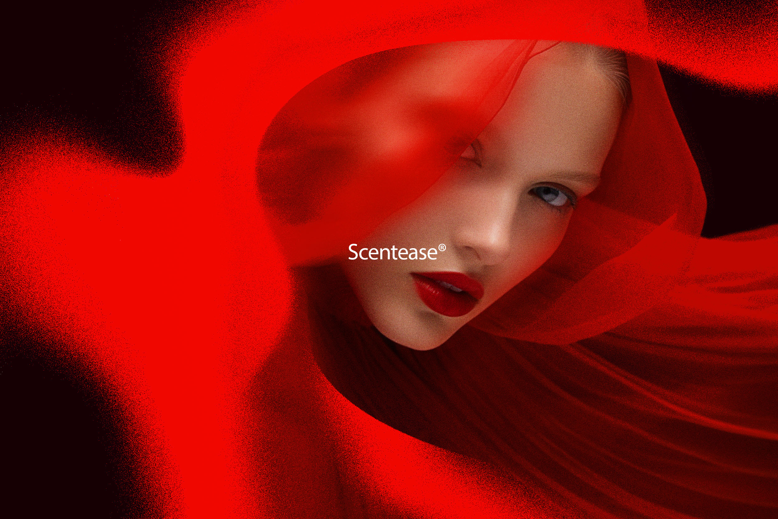 4FRESH Beauty — Сosmetics Packaging design — Изображение №5 — Брендинг, Графика на Dprofile