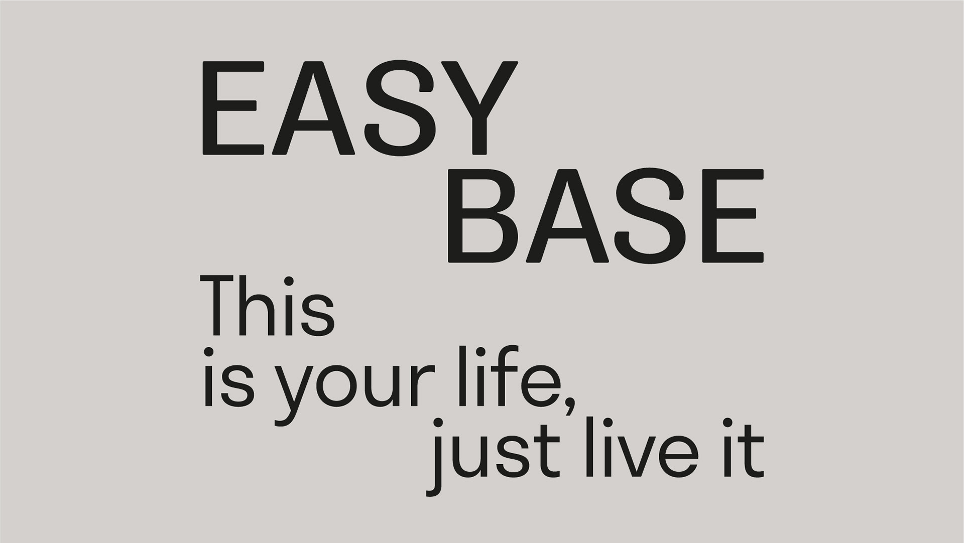 Easy Base — Packaging — Изображение №3 — Брендинг, Графика на Dprofile