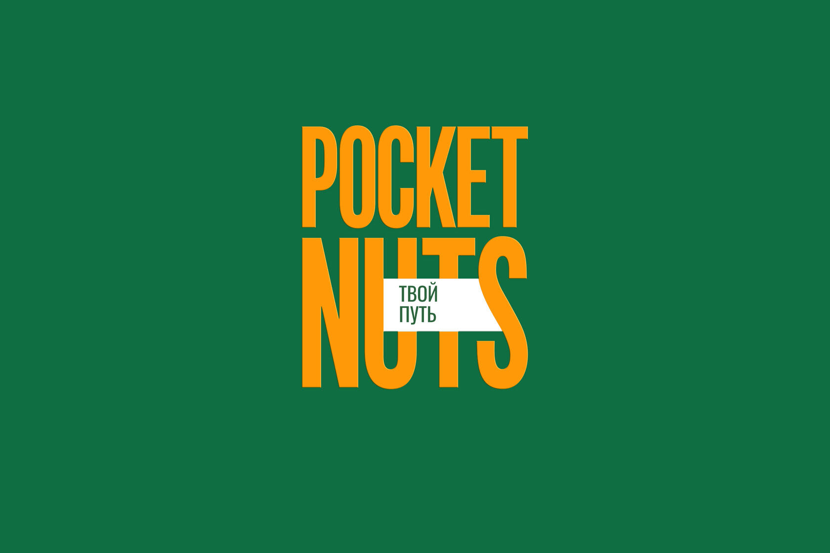 Pocket Nuts — Branding and Packaging — Изображение №2 — Брендинг, Графика на Dprofile