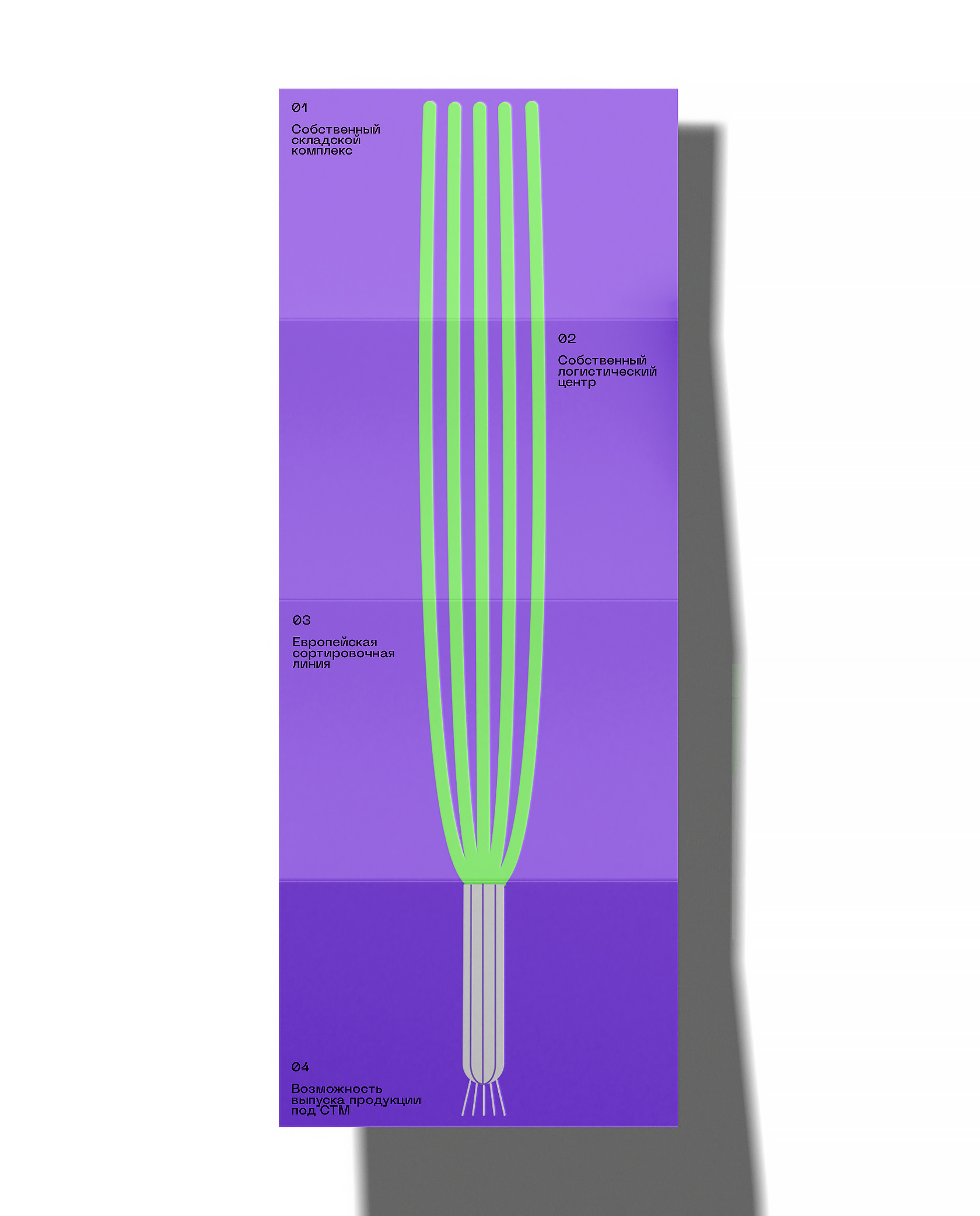 Zelenaya Gryadka — Packaging design for vegetables — Изображение №8 — Брендинг, Графика на Dprofile