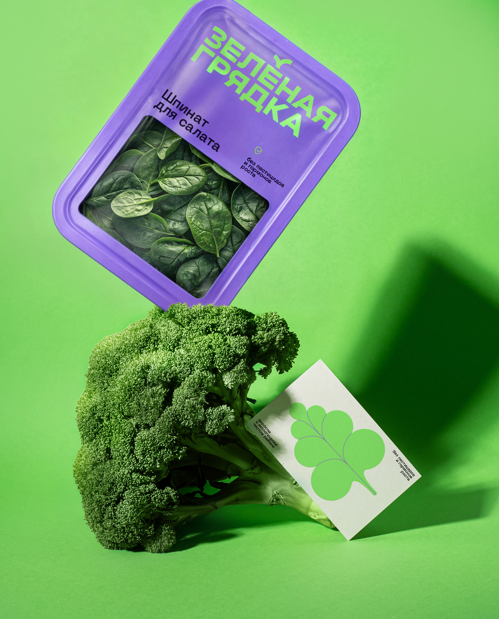 Zelenaya Gryadka — Packaging design for vegetables — Изображение №9 — Брендинг, Графика на Dprofile