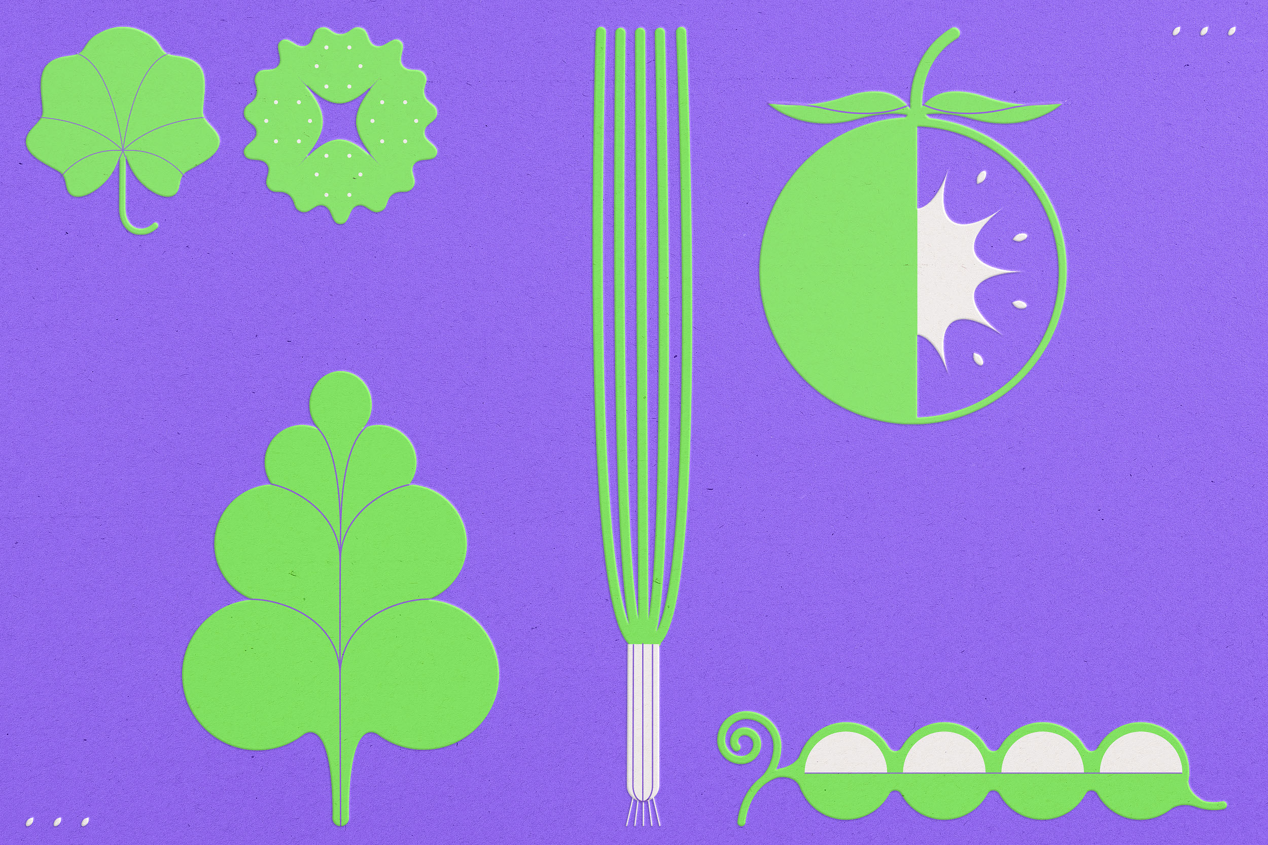 Zelenaya Gryadka — Packaging design for vegetables — Изображение №1 — Брендинг, Графика на Dprofile