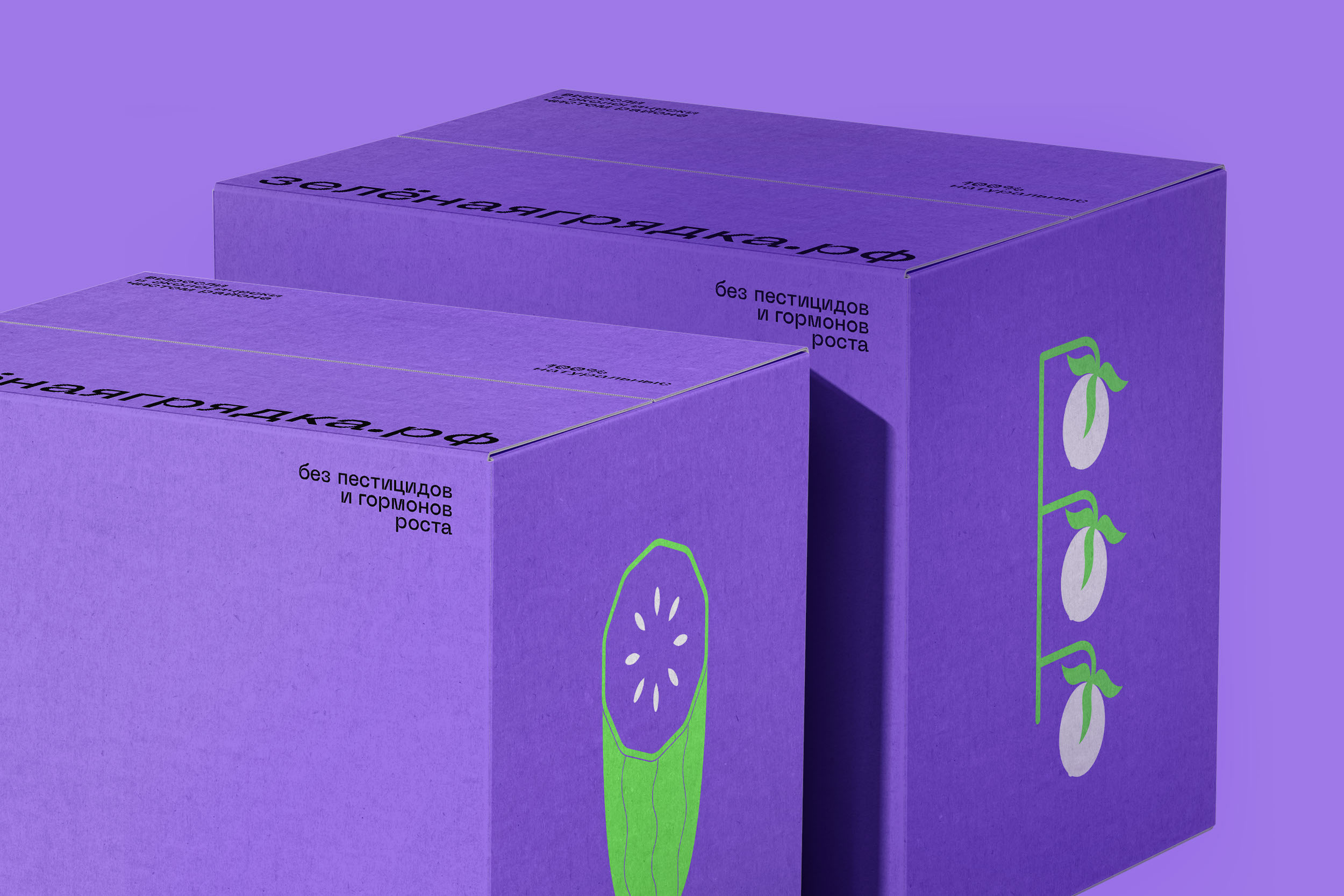 Zelenaya Gryadka — Packaging design for vegetables — Изображение №10 — Брендинг, Графика на Dprofile