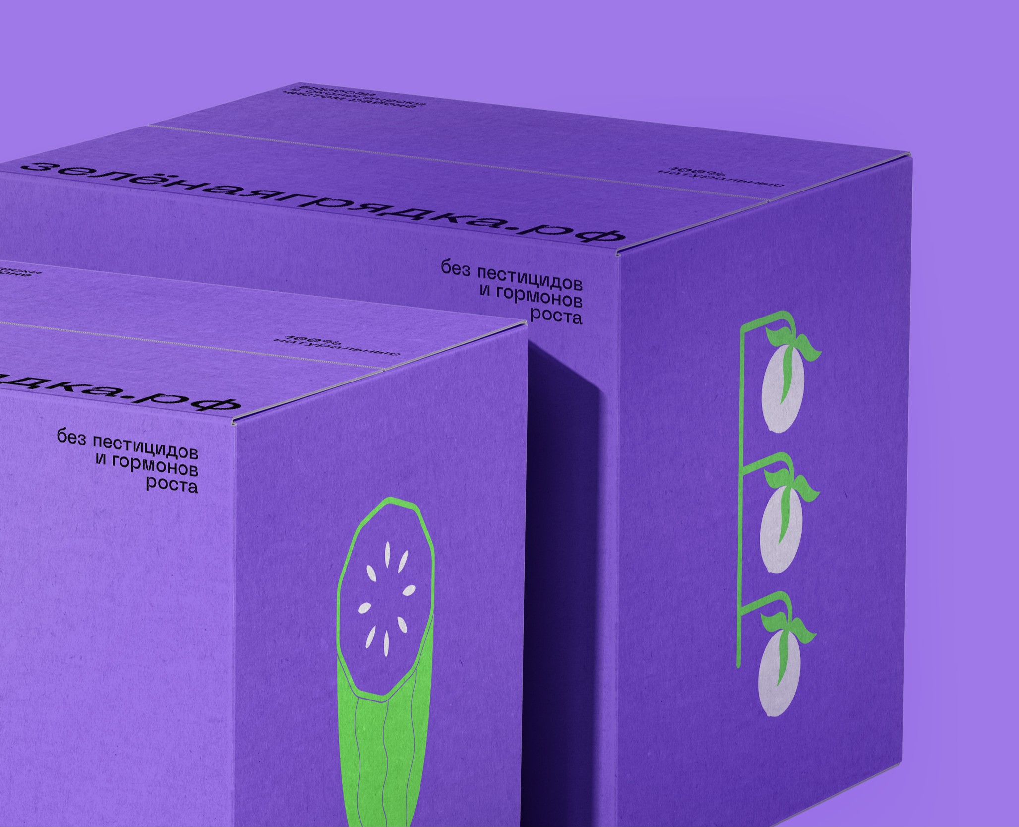Zelenaya Gryadka — Packaging design for vegetables — Брендинг, Графика на Dprofile