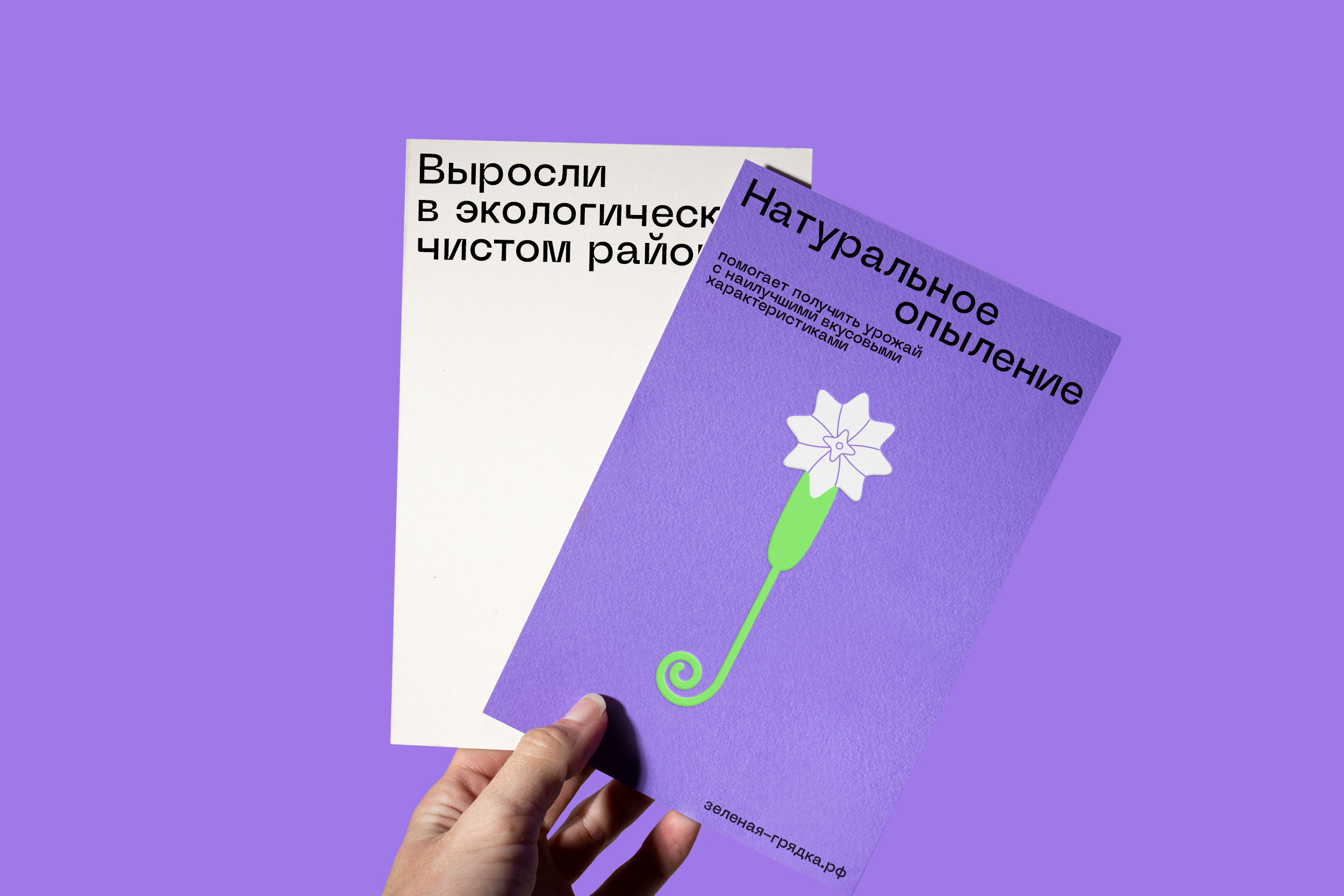 Zelenaya Gryadka — Packaging design for vegetables — Изображение №5 — Брендинг, Графика на Dprofile