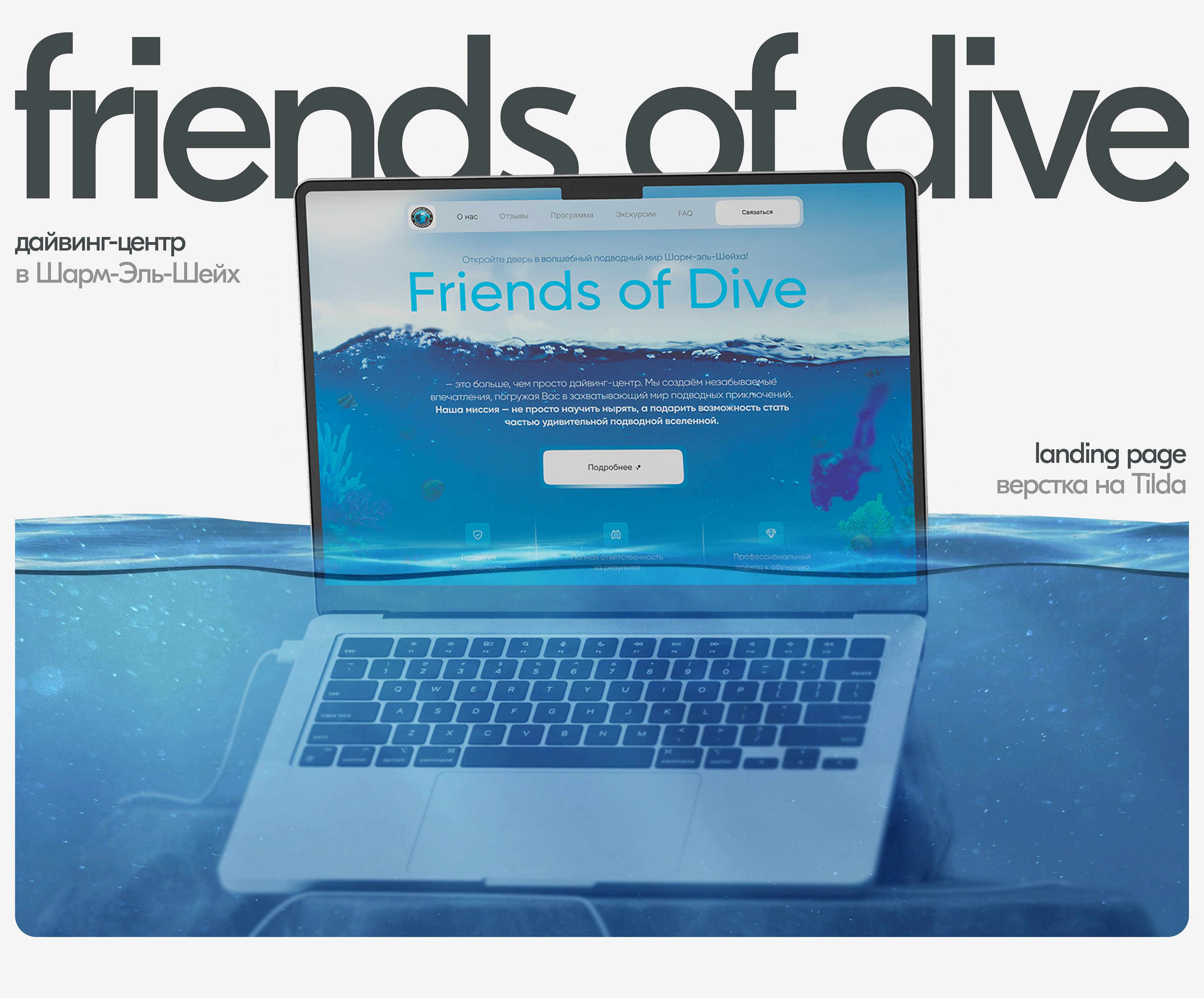 Дайвинг-центр l Friends of Dive — Изображение №1 — Интерфейсы, Графика на Dprofile