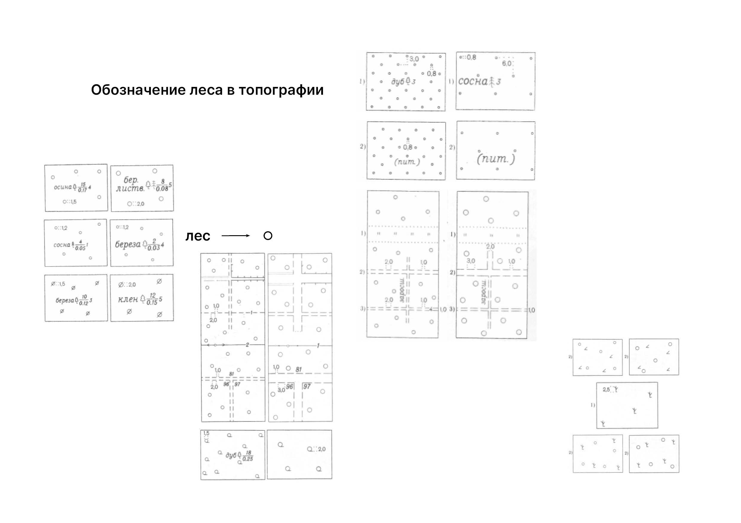 Исчезновение леса в России — Изображение №2 — Графика на Dprofile