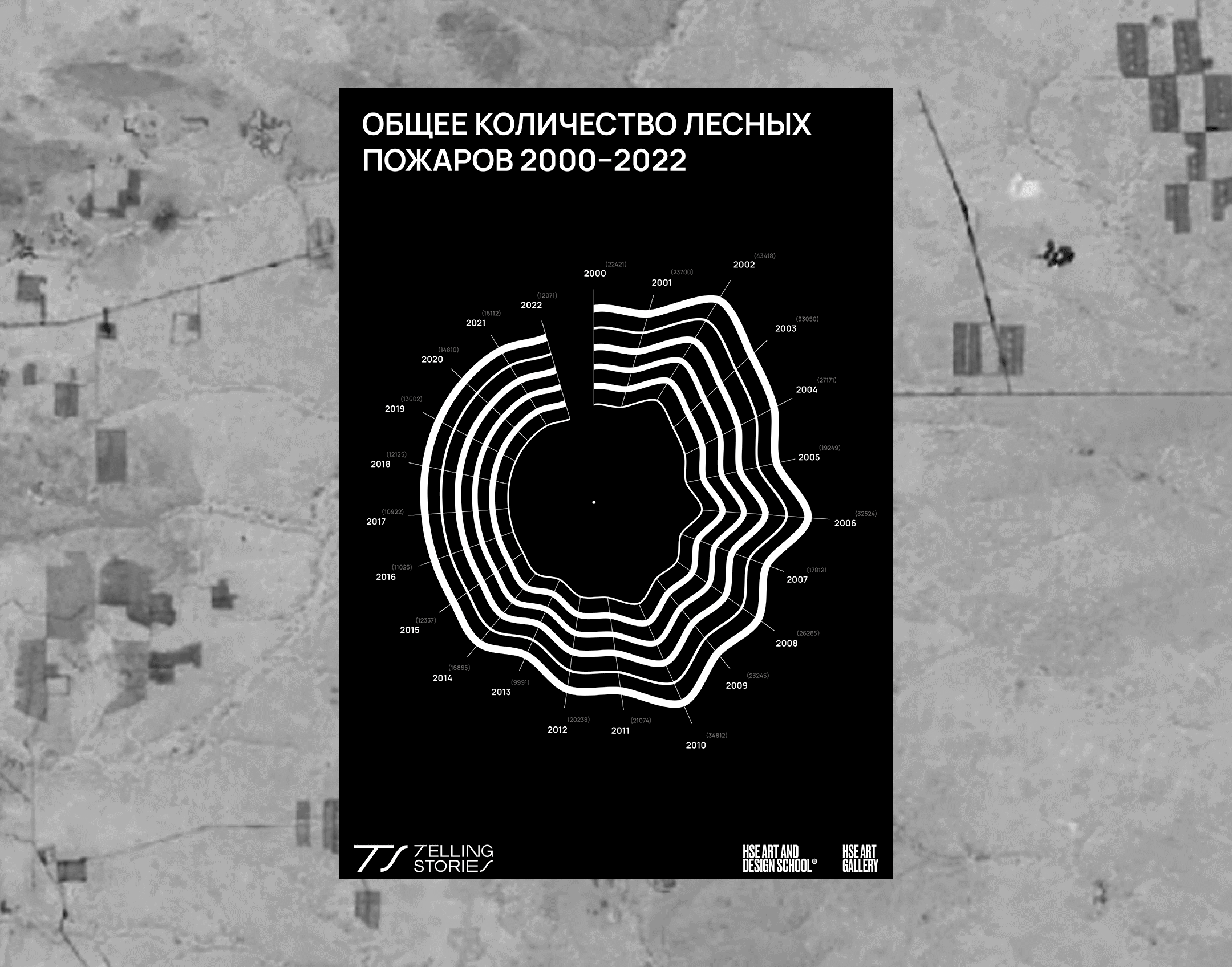 Исчезновение леса в России — Изображение №11 — Графика на Dprofile