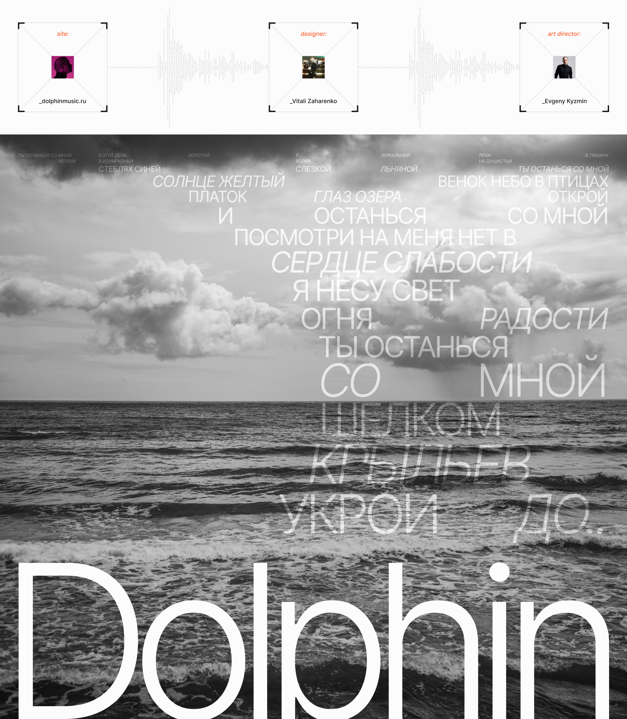 Dolphin_redesign_personal website — Изображение №1 — Интерфейсы, Графика на Dprofile