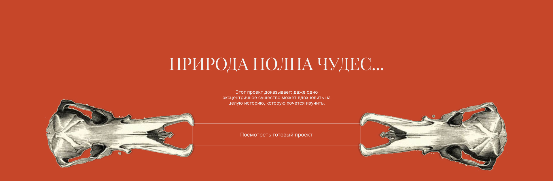 История утконоса — факты, весёлые детали & странности — Изображение №17 — Интерфейсы, Анимация на Dprofile
