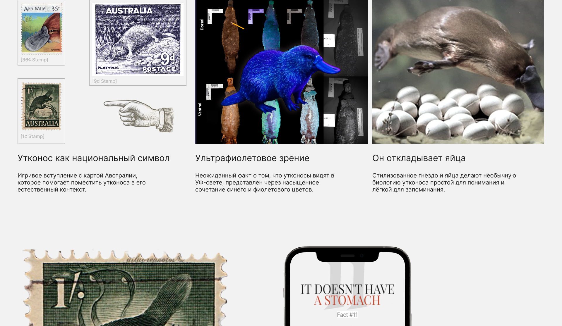 История утконоса — факты, весёлые детали & странности — Изображение №14 — Интерфейсы, Анимация на Dprofile