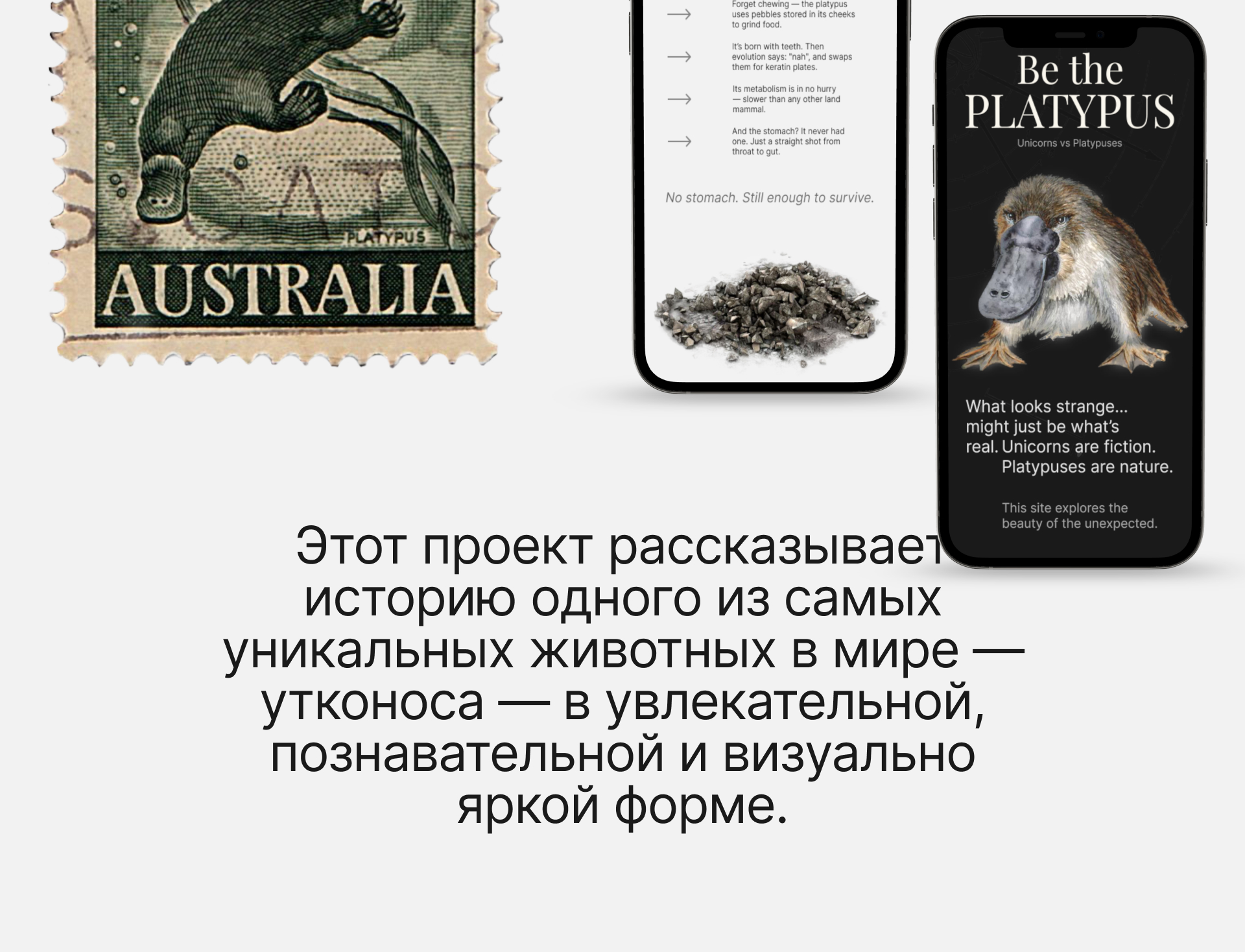 История утконоса — факты, весёлые детали & странности — Изображение №15 — Интерфейсы, Анимация на Dprofile