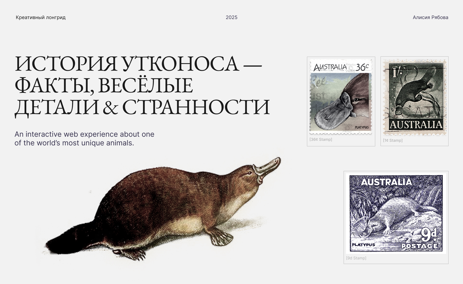 История утконоса — факты, весёлые детали & странности — Изображение №1 — Интерфейсы, Анимация на Dprofile