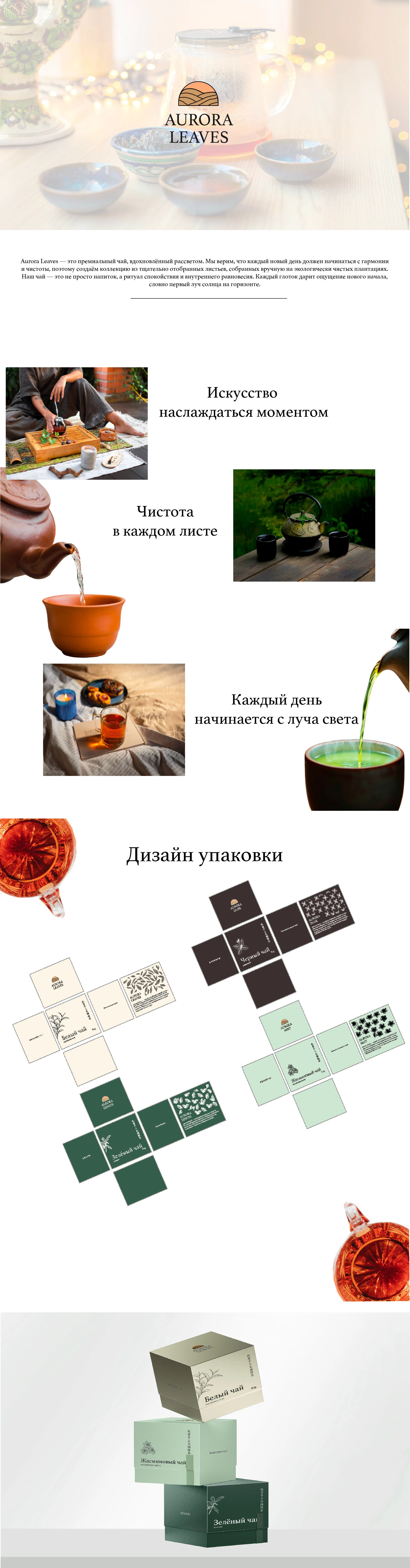 Разработка логотипа и упаковки для чайного бренда — Изображение №1 — Интерфейсы, Брендинг на Dprofile