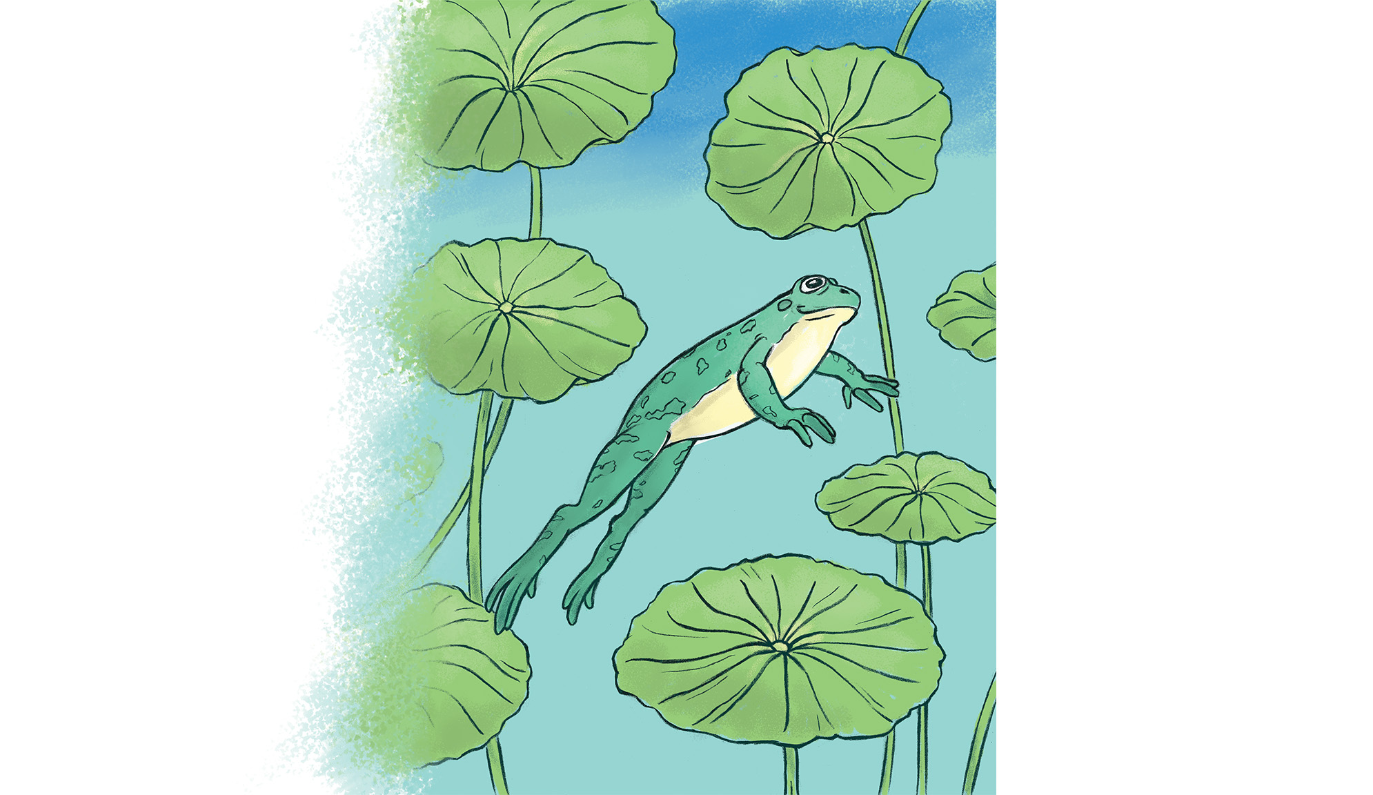 Иллюстрации для детской книги — Изображение №4 — Иллюстрация, Графика на Dprofile