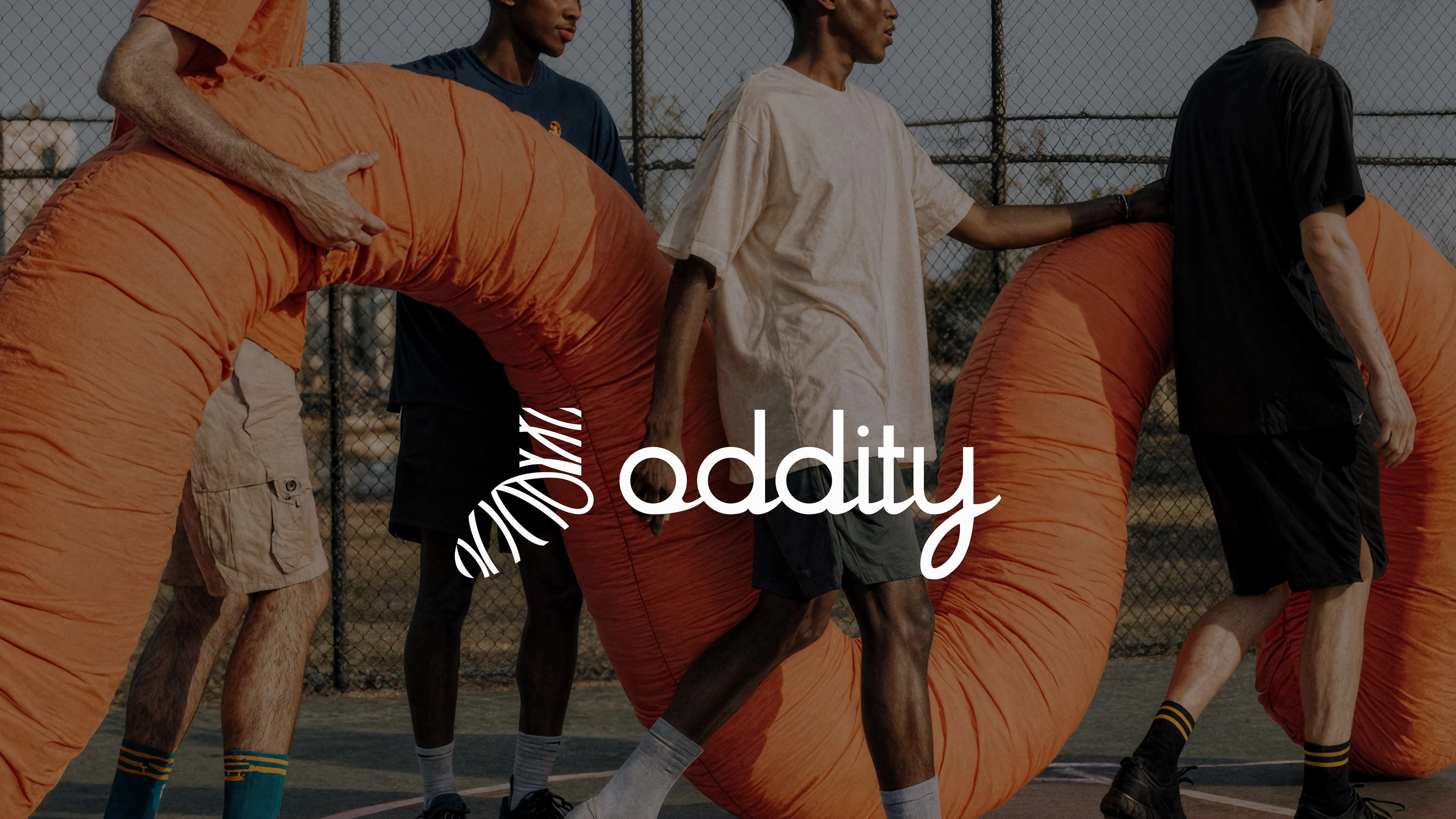 Oddity бренд одежды — Изображение №1 — Брендинг на Dprofile