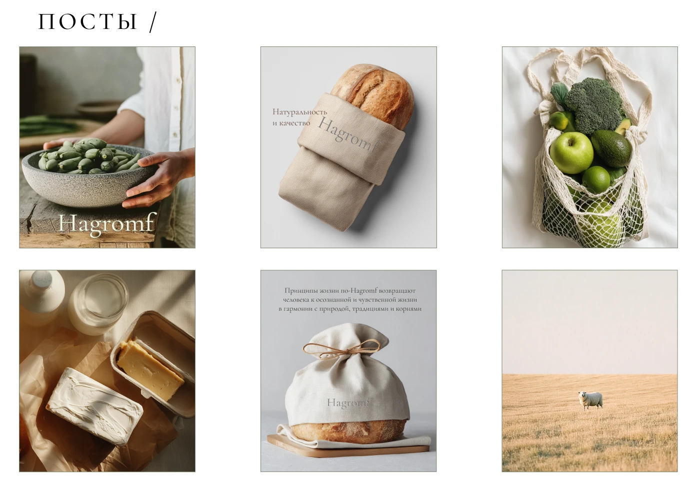 Brand identity farm products_Фирменный стиль — Изображение №2 — Брендинг на Dprofile