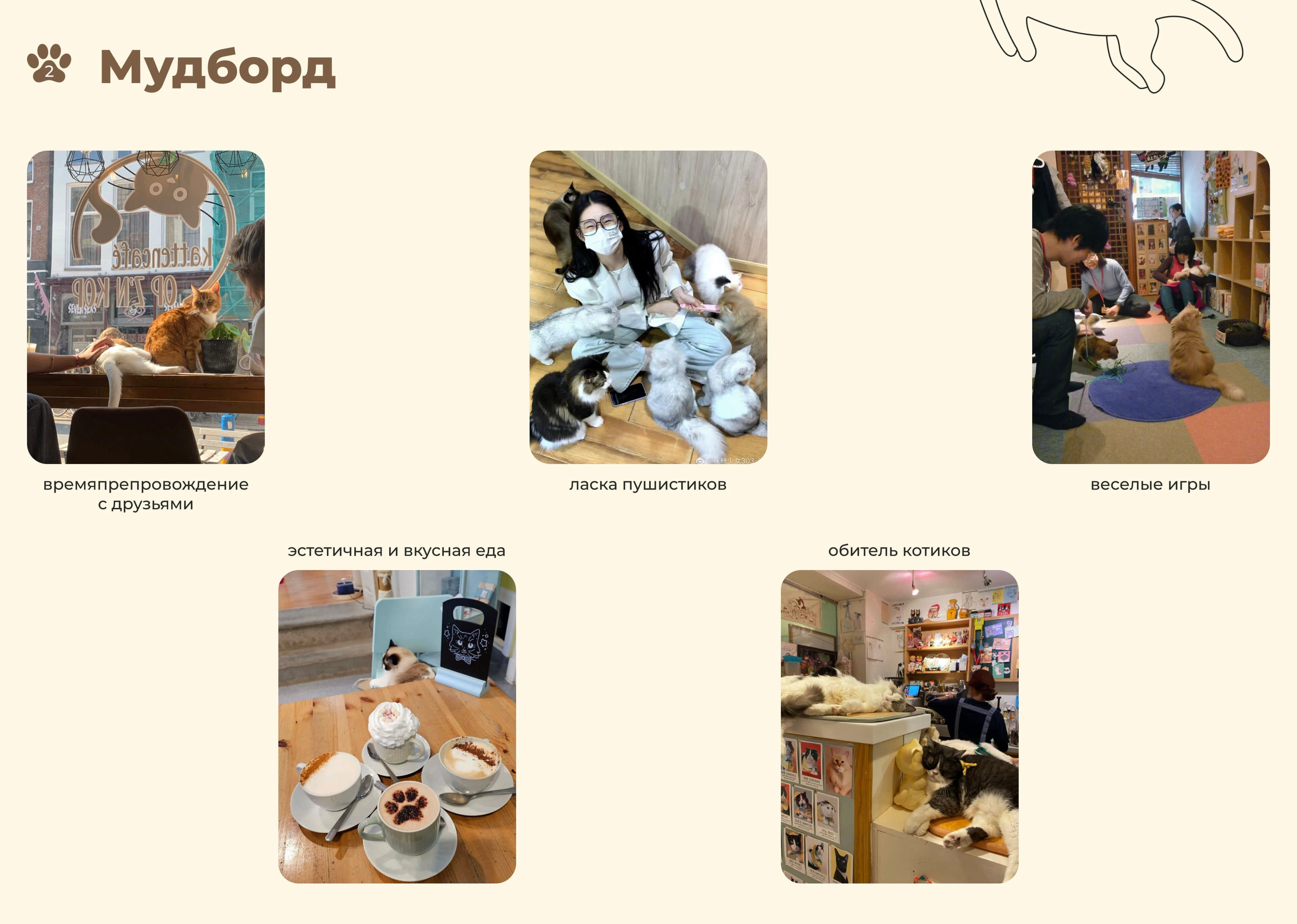 website | catcafe Goku | котокафе Гоку — Изображение №3 — Интерфейсы на Dprofile