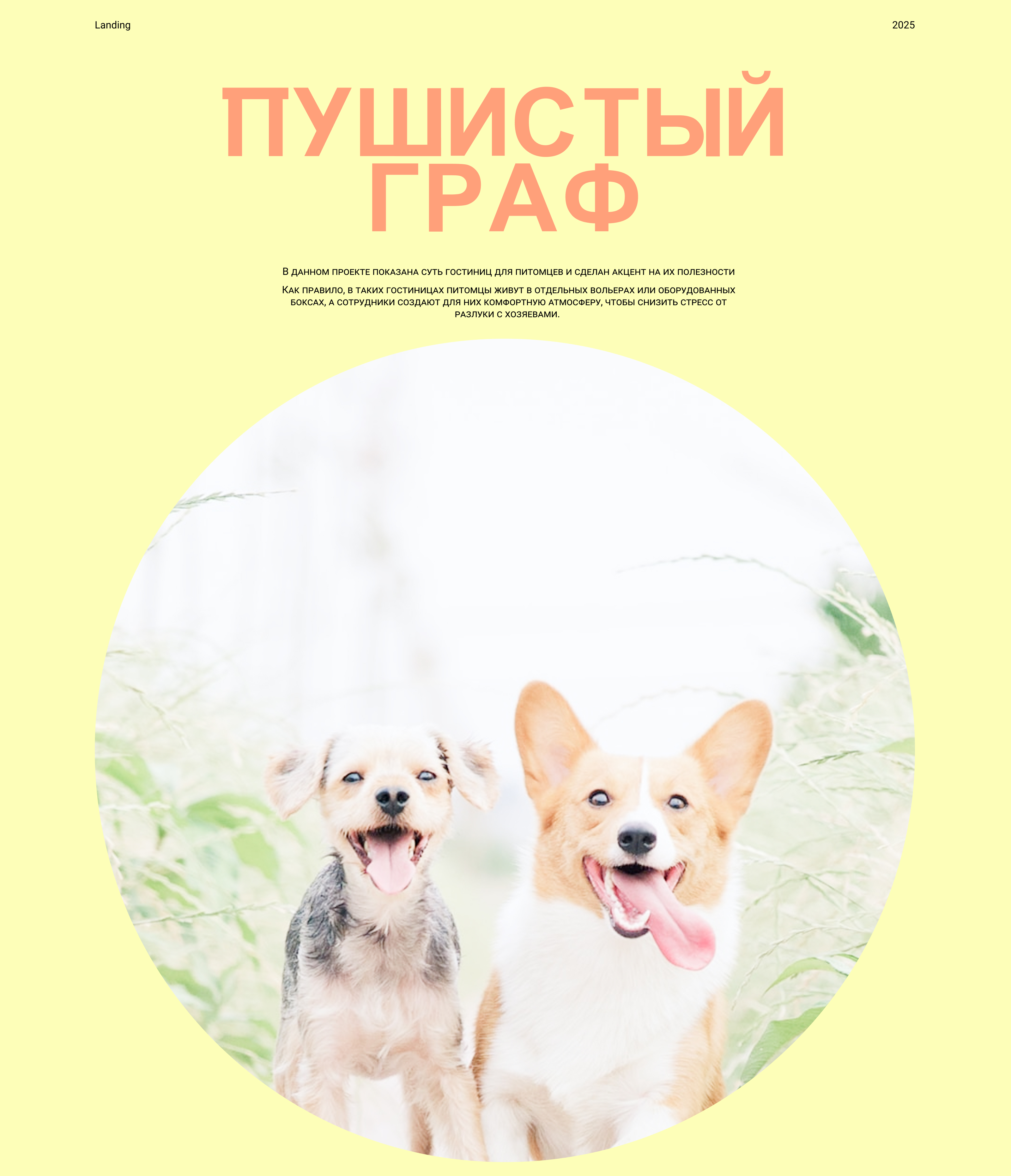 Гостиница Пушистый Граф — Изображение №1 — Интерфейсы на Dprofile