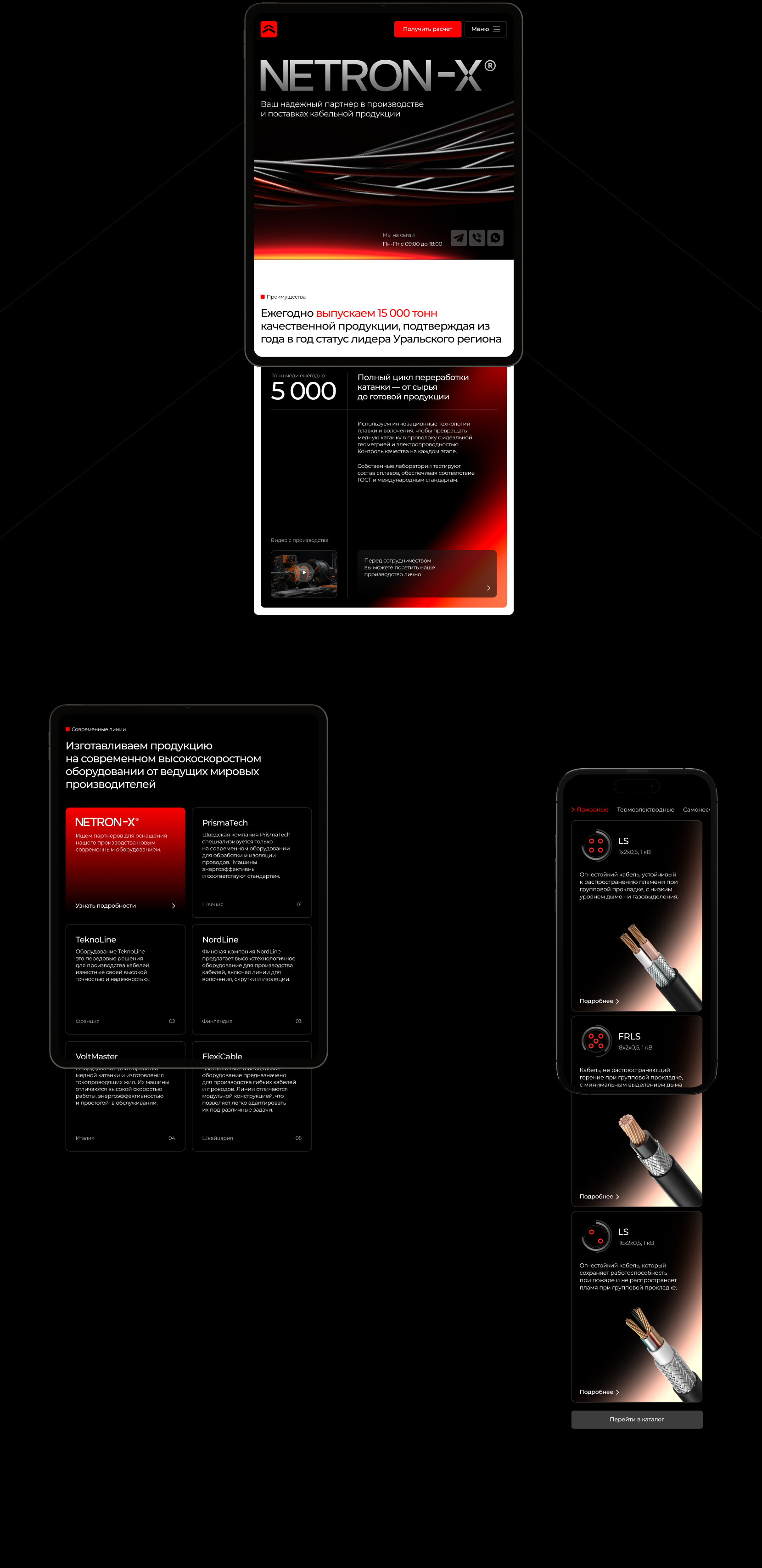 NETRON-X | Website & Branding — Изображение №9 — Интерфейсы, Брендинг на Dprofile