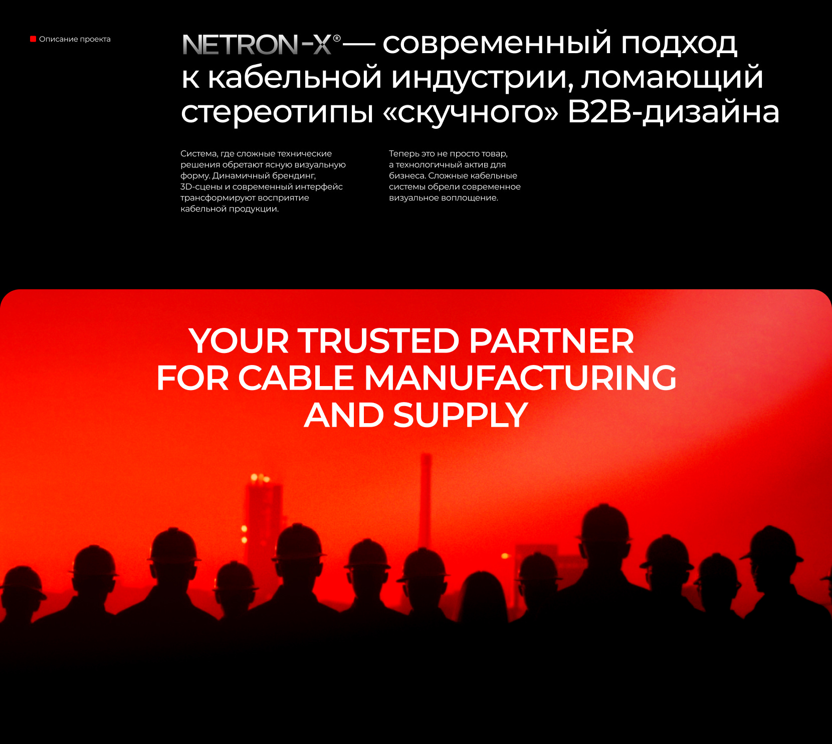NETRON-X | Website & Branding — Изображение №2 — Интерфейсы, Брендинг на Dprofile