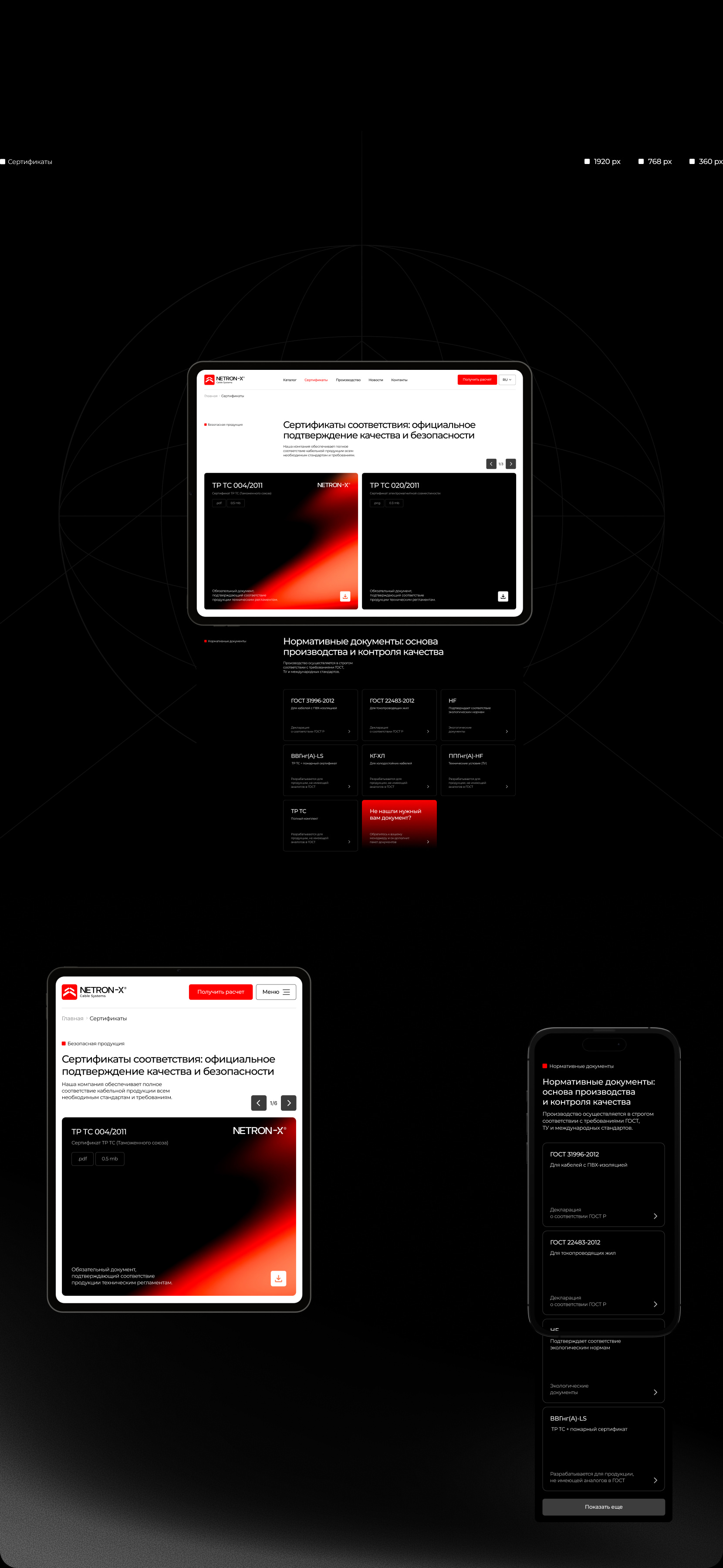 NETRON-X | Website & Branding — Изображение №19 — Интерфейсы, Брендинг на Dprofile