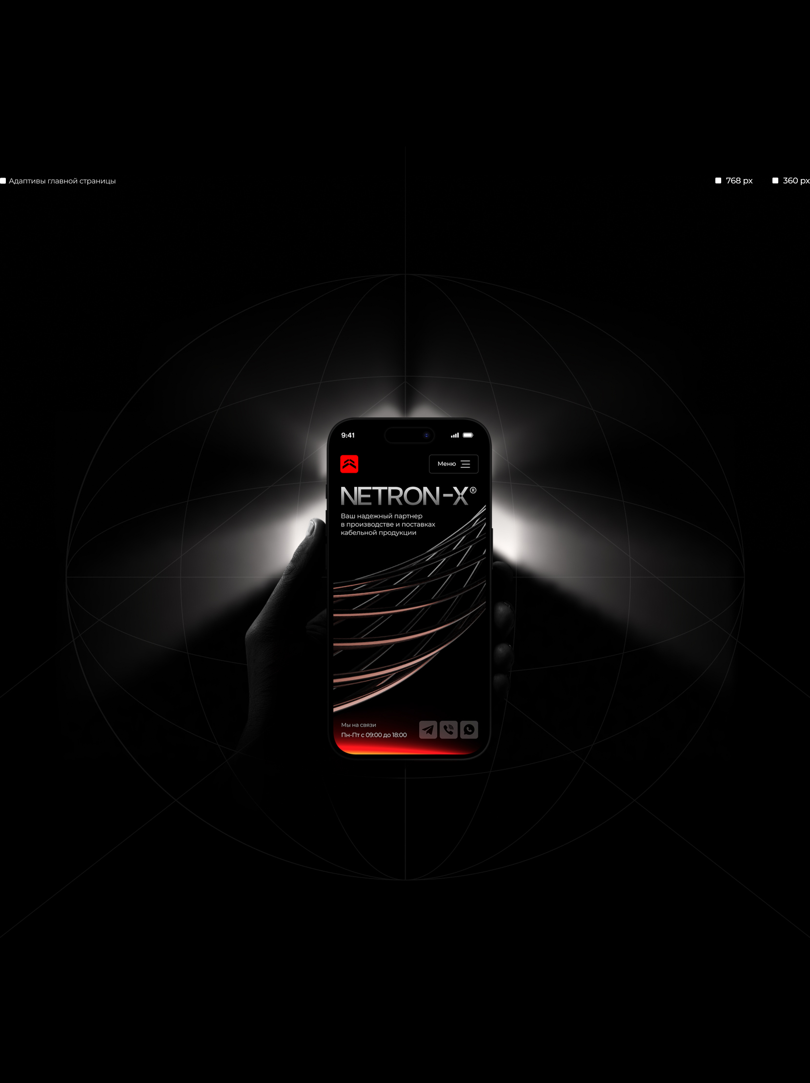 NETRON-X | Website & Branding — Изображение №8 — Интерфейсы, Брендинг на Dprofile