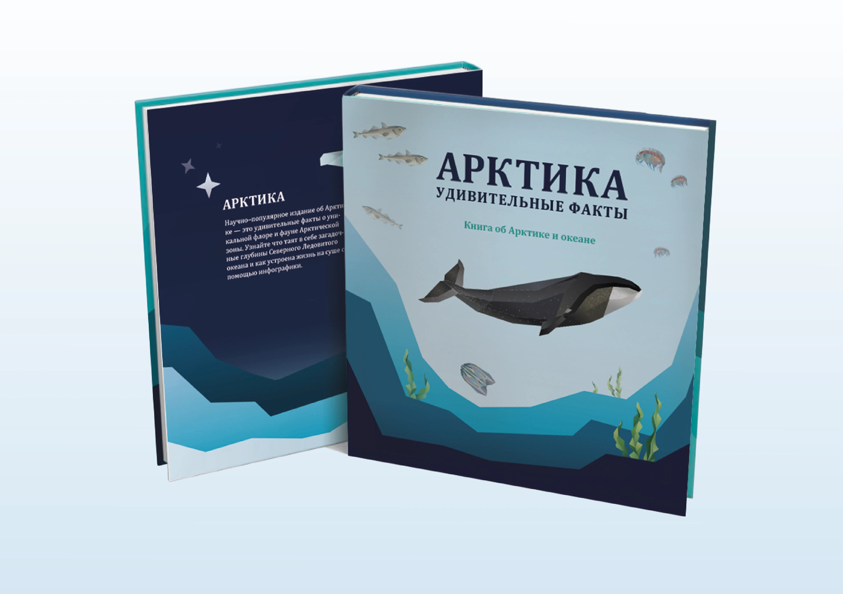 Оригинал–макет детской книги | полигональная графика — Изображение №2 — Иллюстрация, Графика на Dprofile