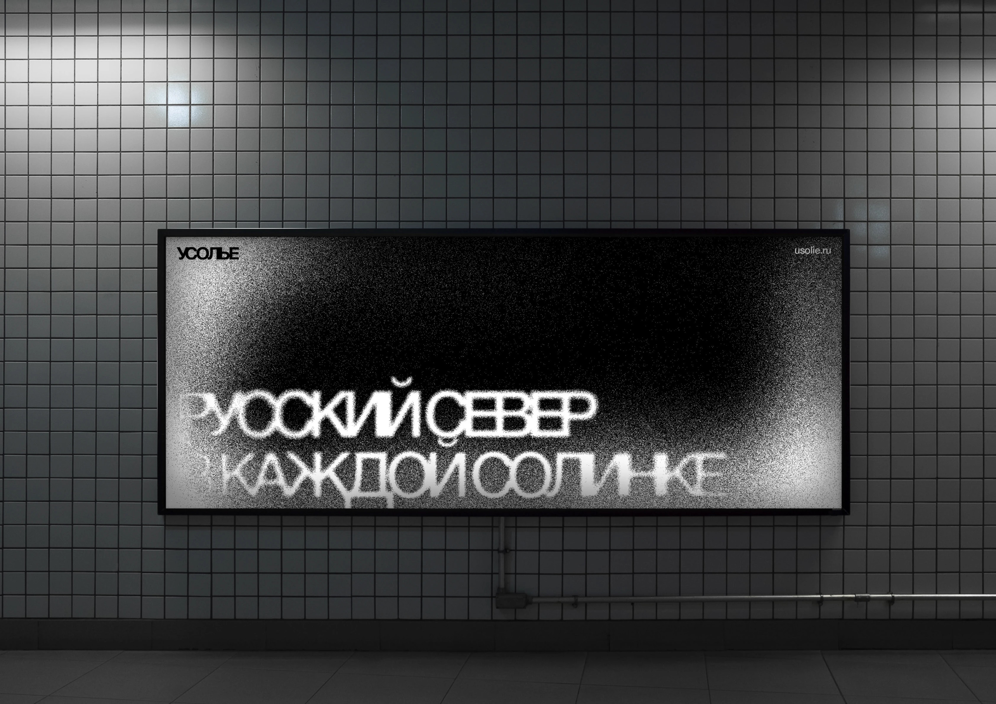 Усолье — бренд соли из Тотьмы — Изображение №2 — Брендинг на Dprofile