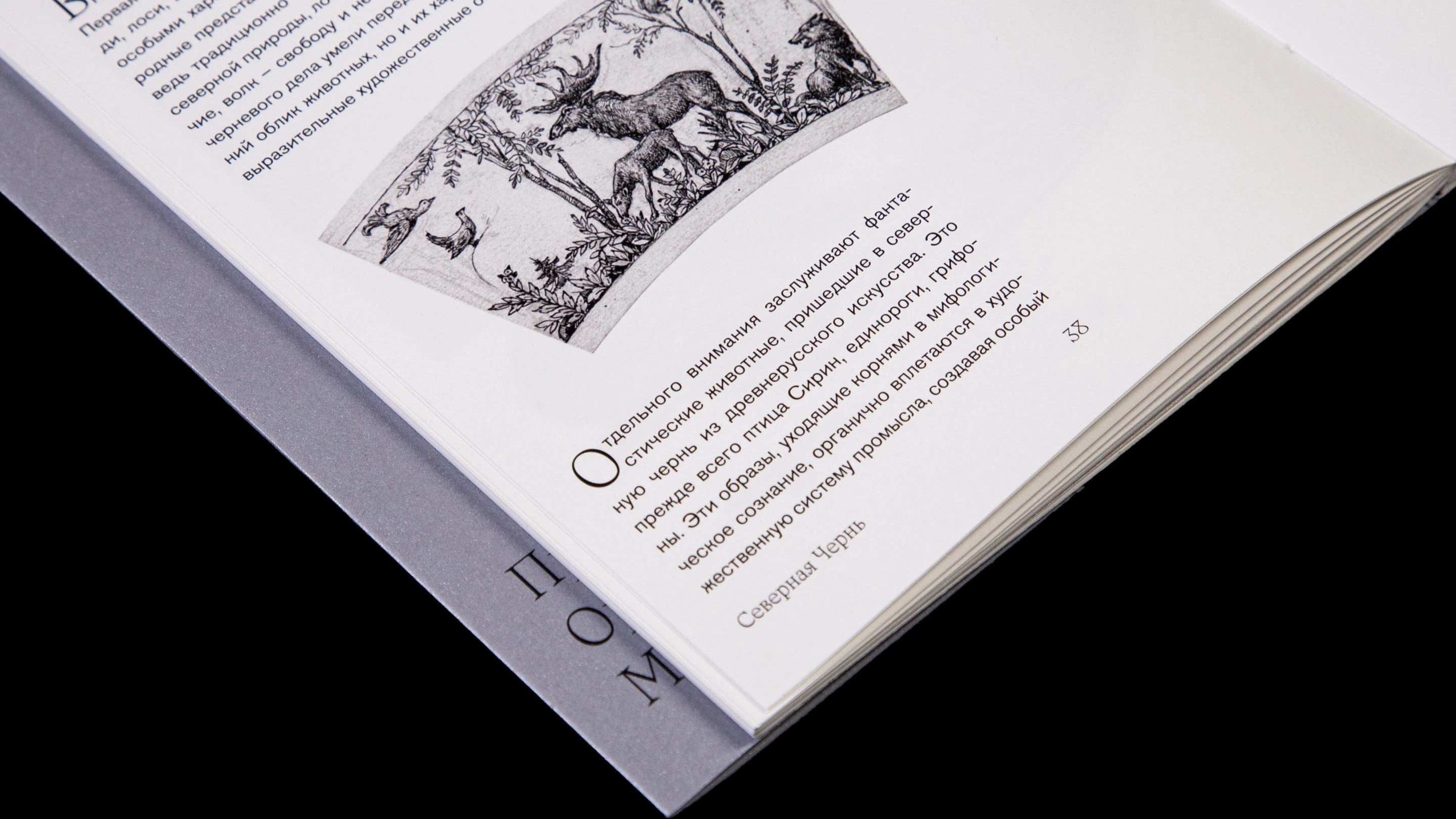Визуальное исследование «Северной Черни» — Изображение №16 — Графика на Dprofile