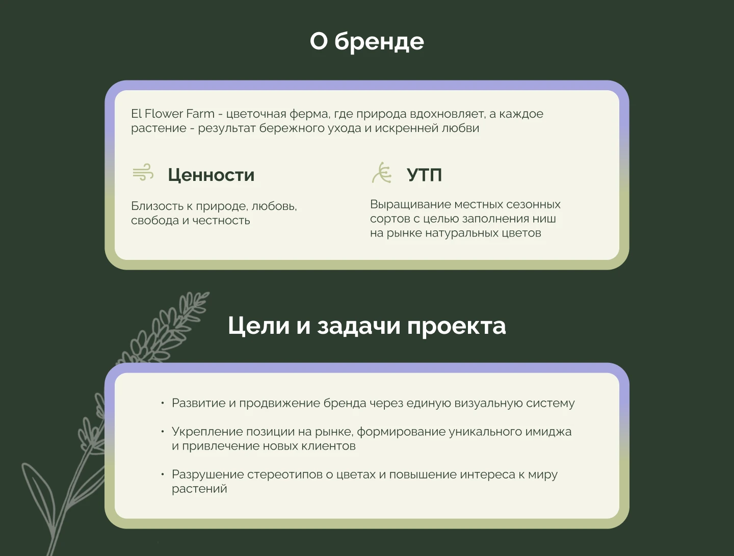 Баннеры и дизайн для соцсетей. Цветочная ферма — Изображение №2 — Интерфейсы, Маркетинг на Dprofile