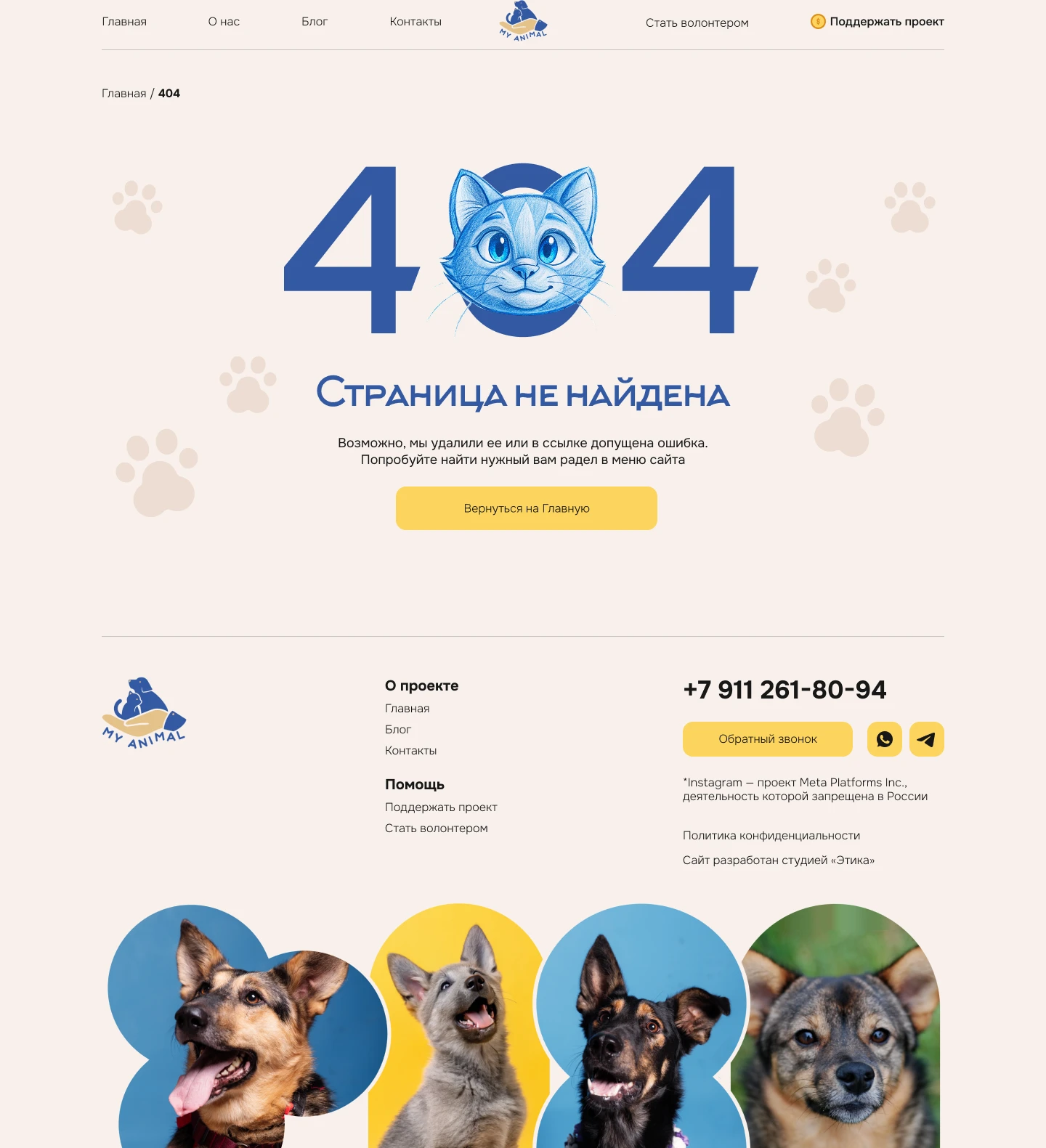 Сайт благотворительного фонда — Изображение №6 — Интерфейсы на Dprofile